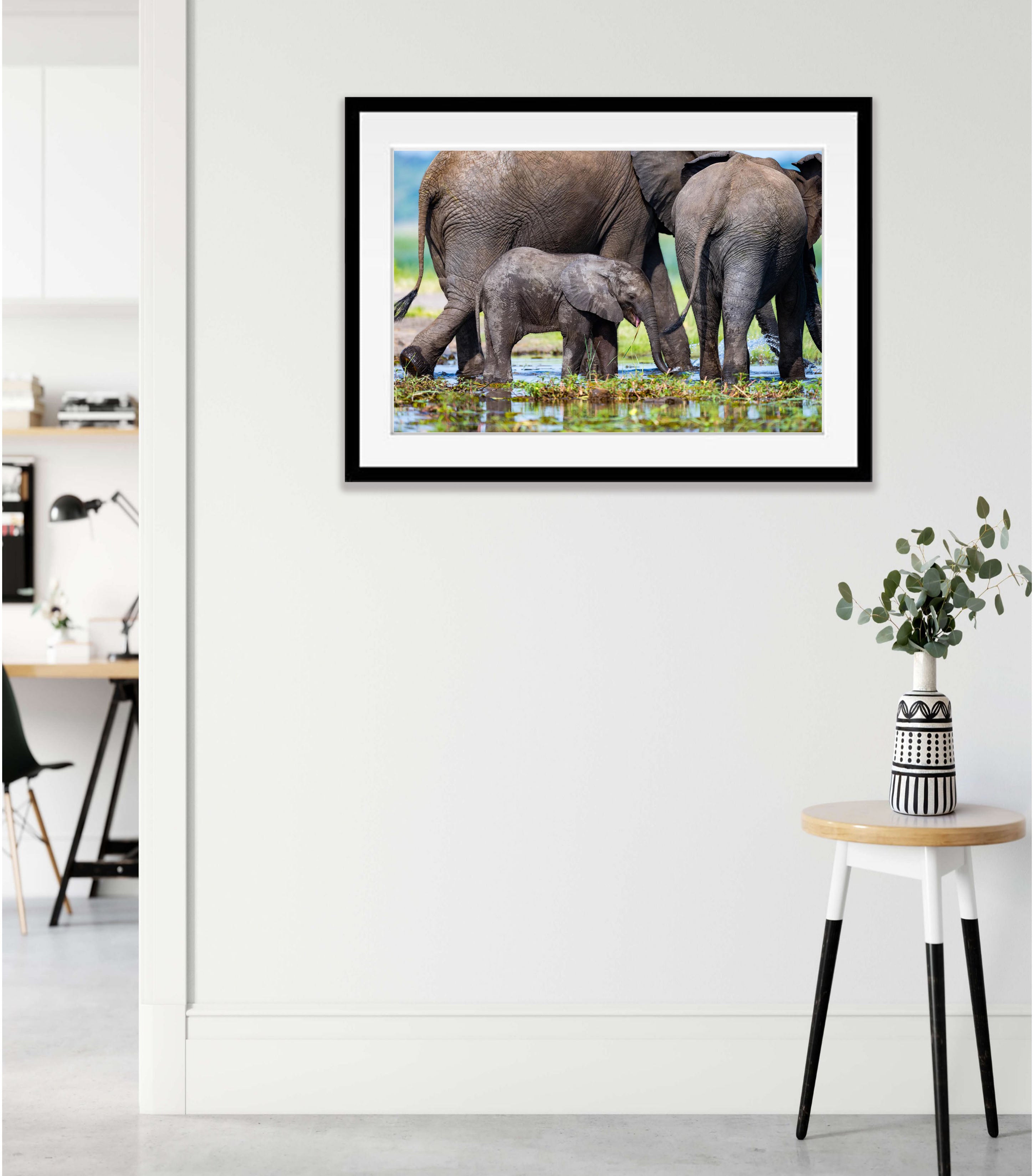 The Baby Elephant, Chobe River, Botswana