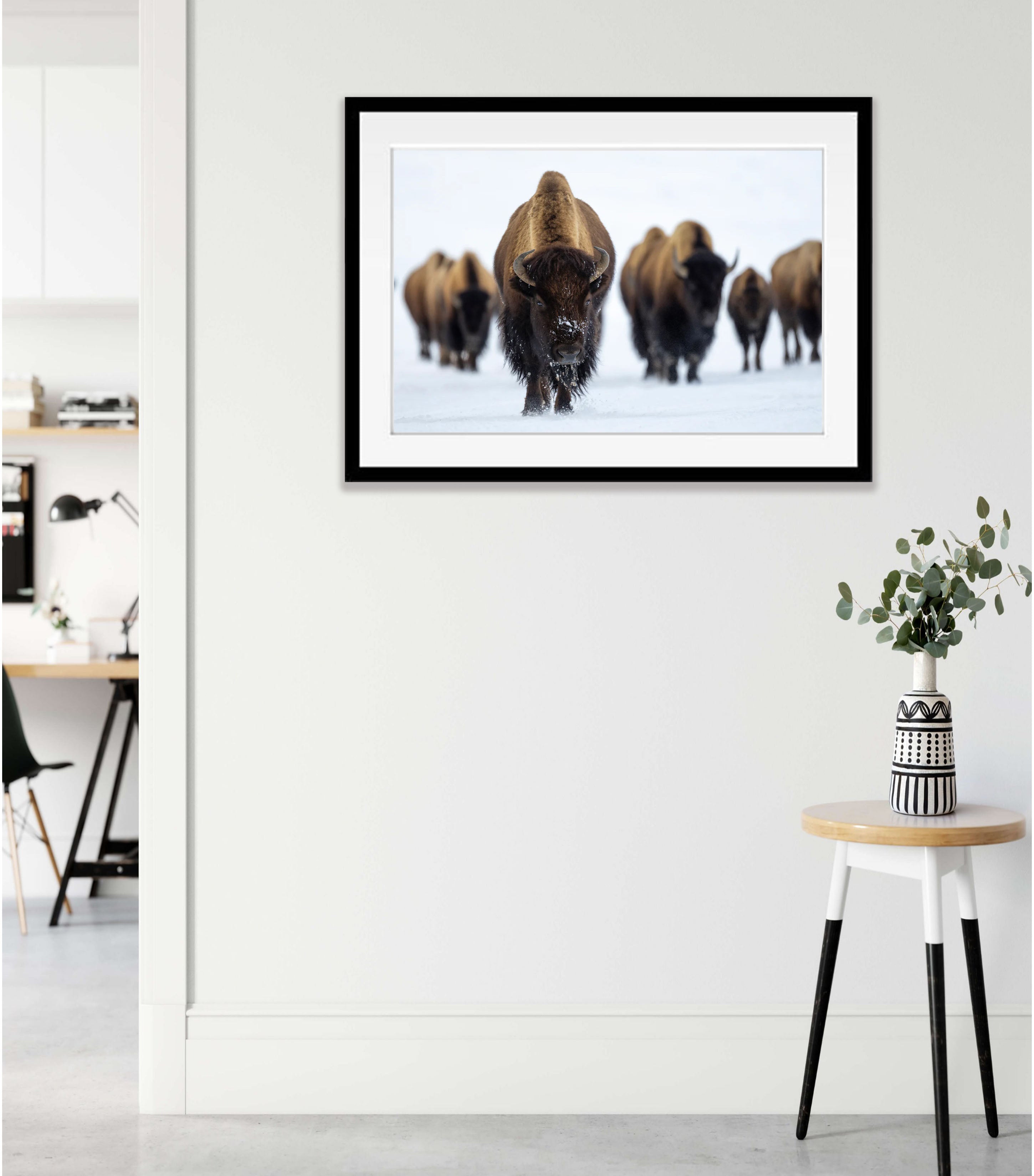 The Bison, Yellowstone NP