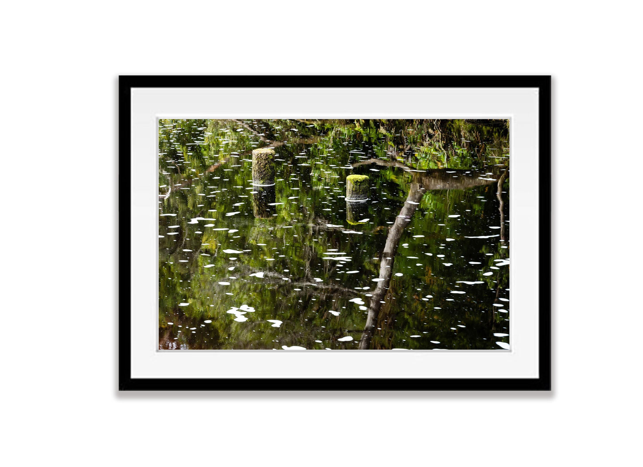 The Franklin River at Sir Jon Falls Landing, Tasmania