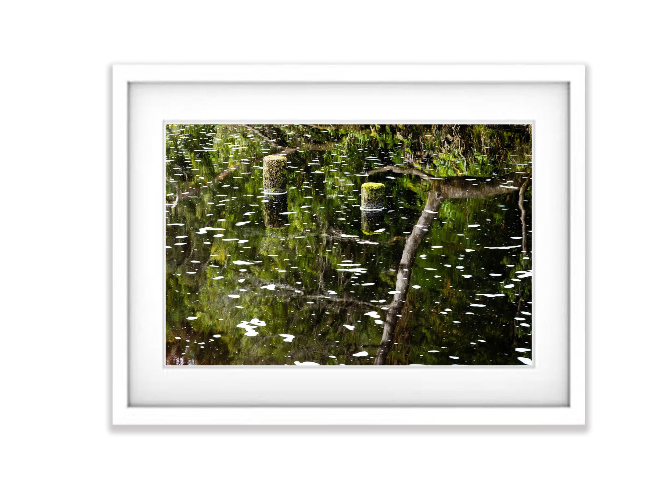 The Franklin River at Sir Jon Falls Landing, Tasmania