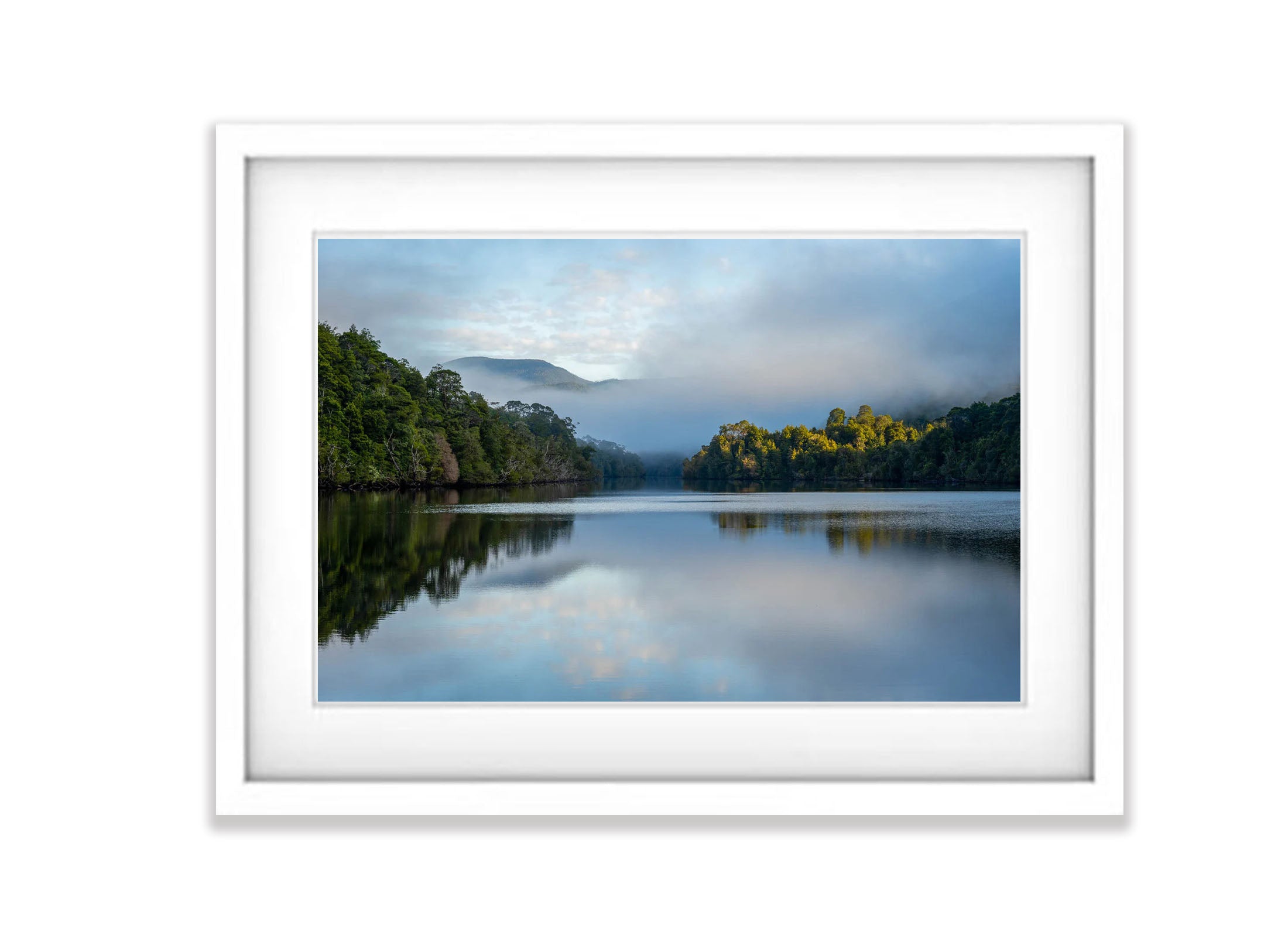 Shrouded Beauty, Gordon River, Tasmania