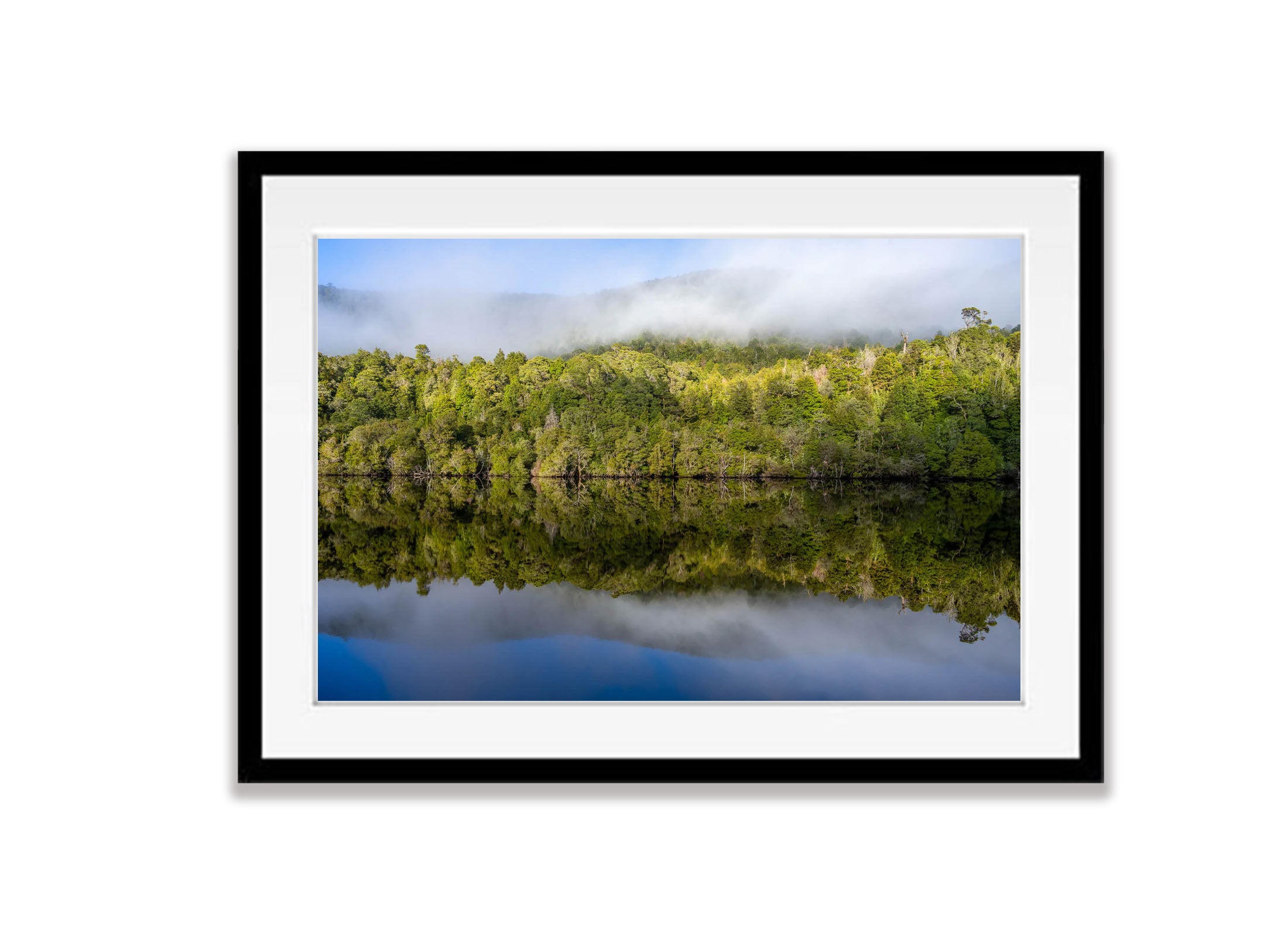 Serene Stillness, Gordon River, Tasmania
