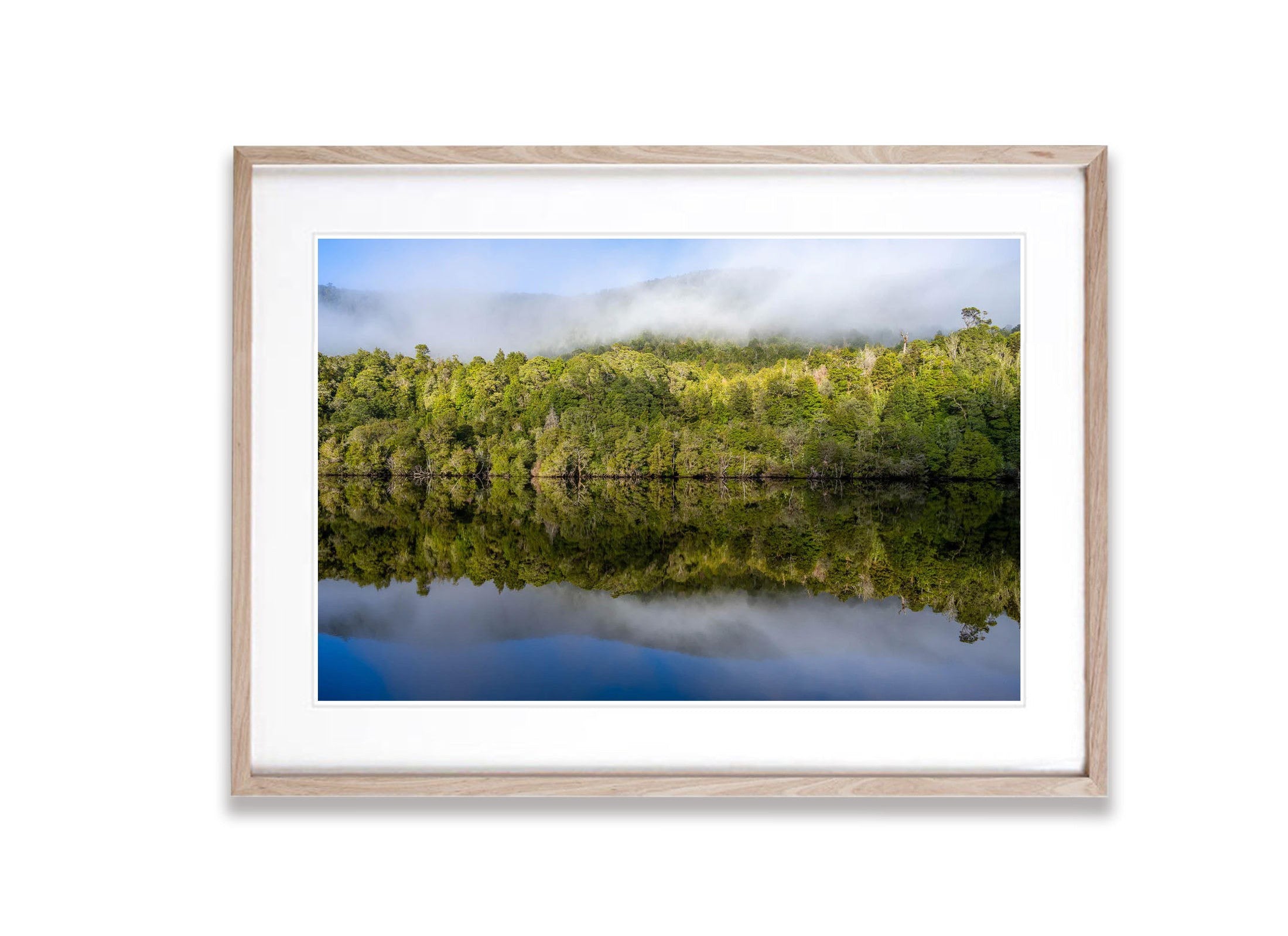 Serene Stillness, Gordon River, Tasmania