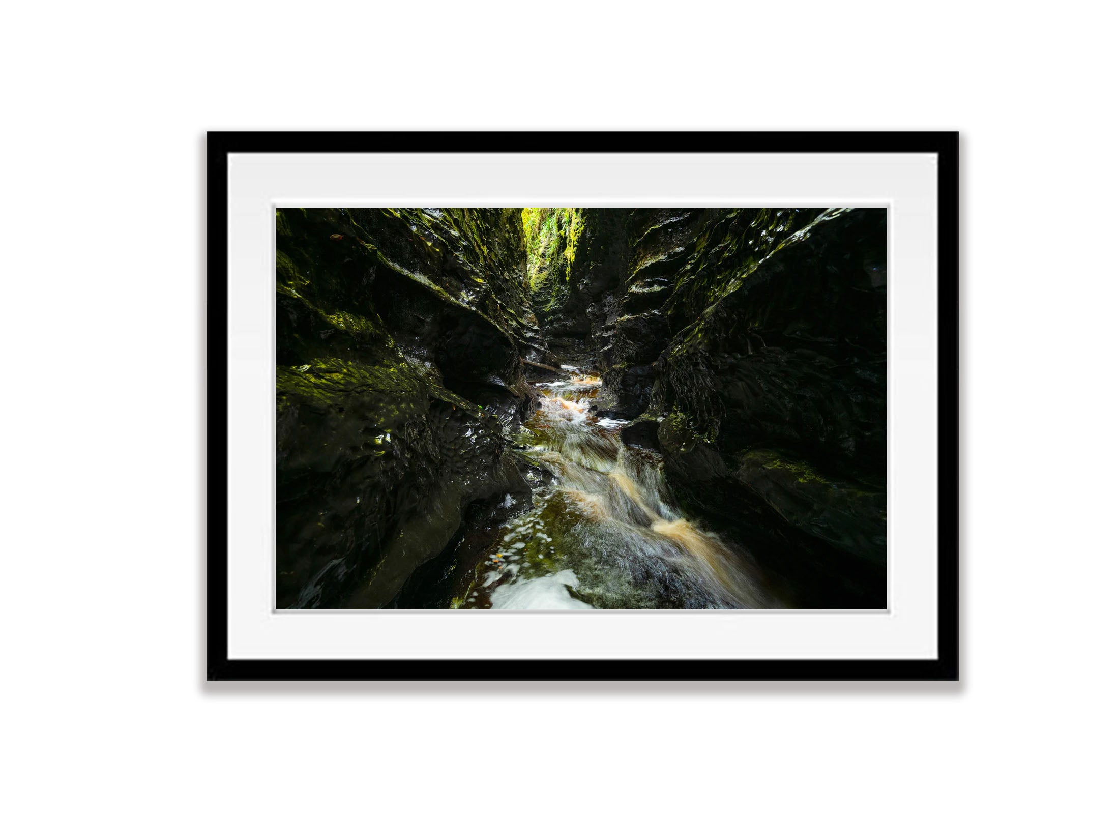 The Lost World, Franklin River No.10, Tasmania