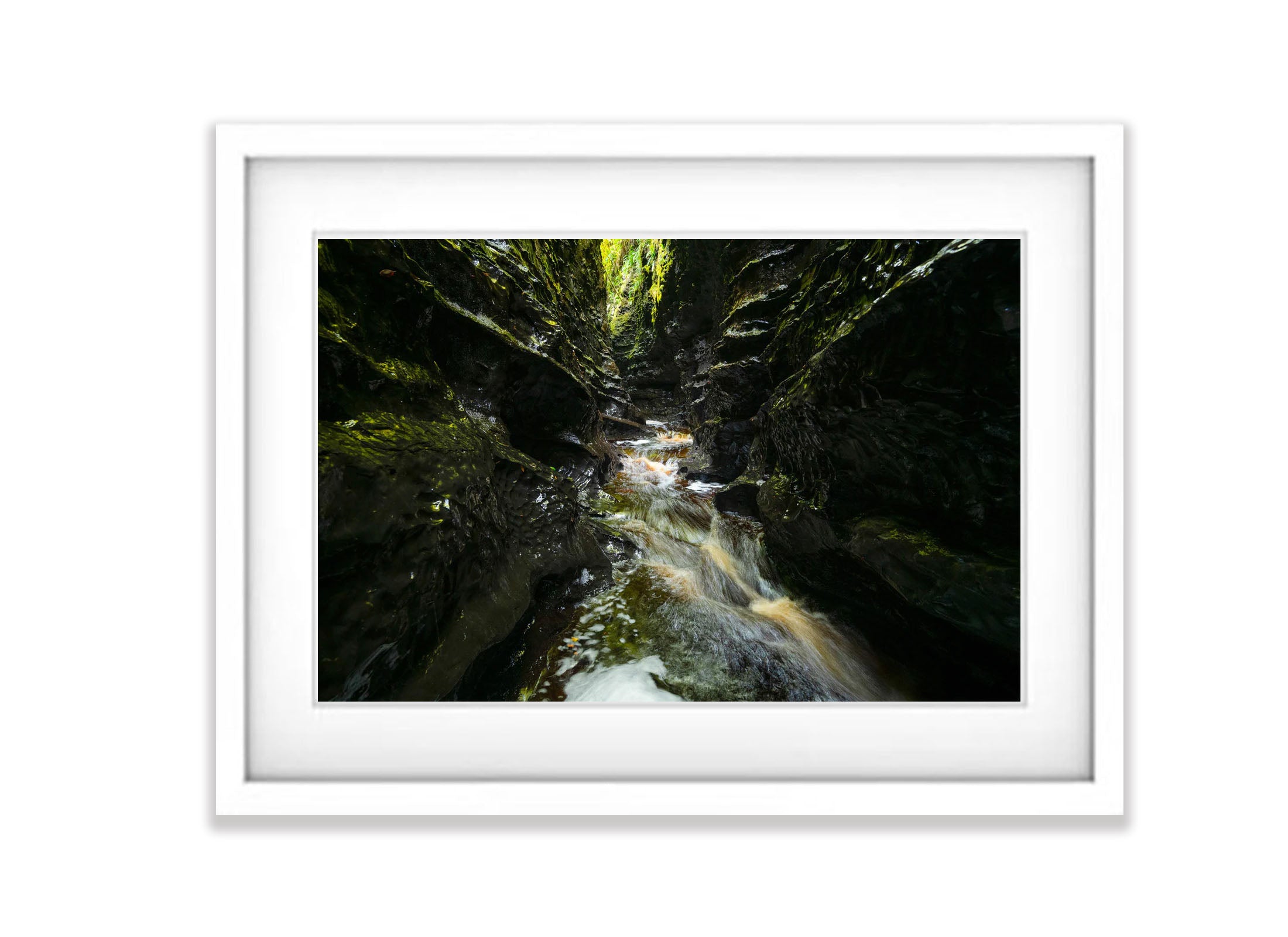The Lost World, Franklin River No.10, Tasmania