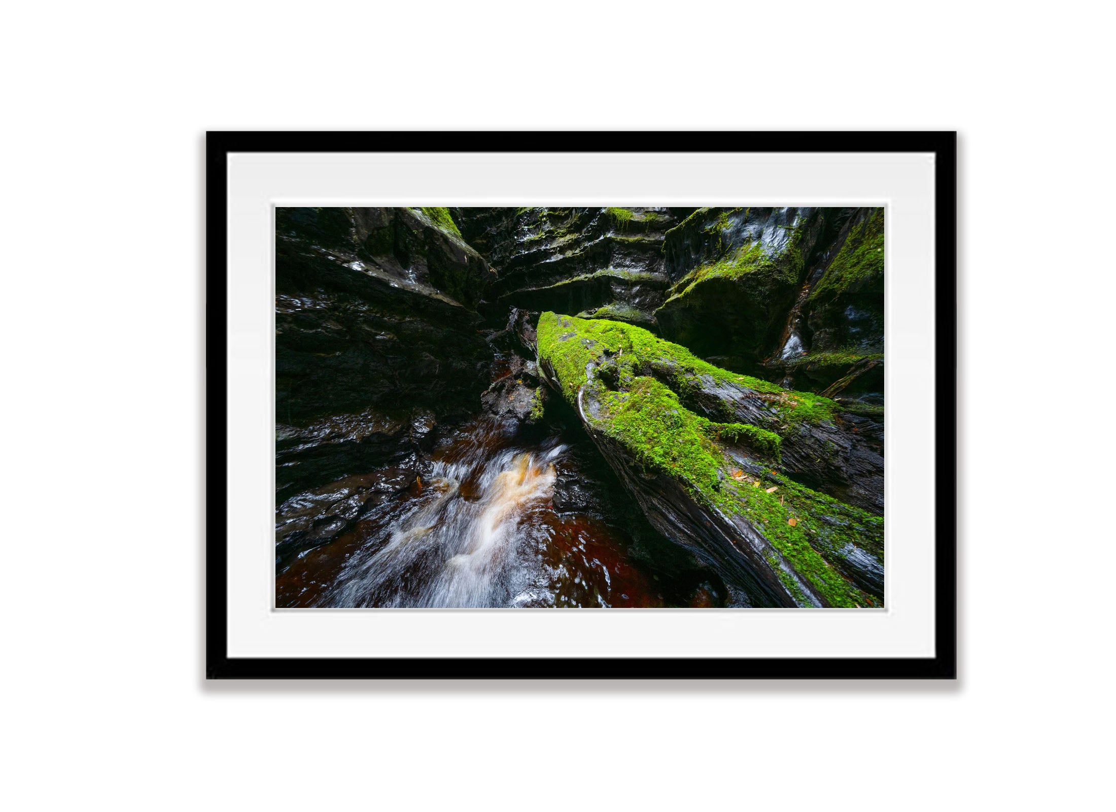 The Lost World, Franklin River No.11, Tasmania