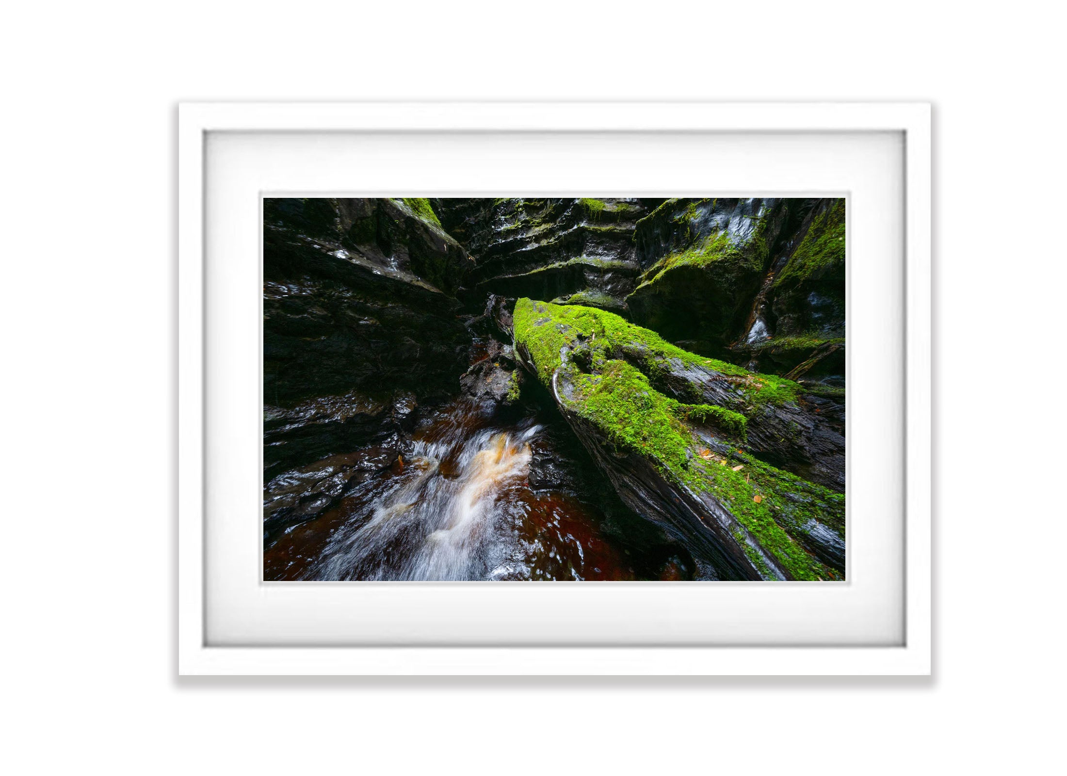 The Lost World, Franklin River No.11, Tasmania