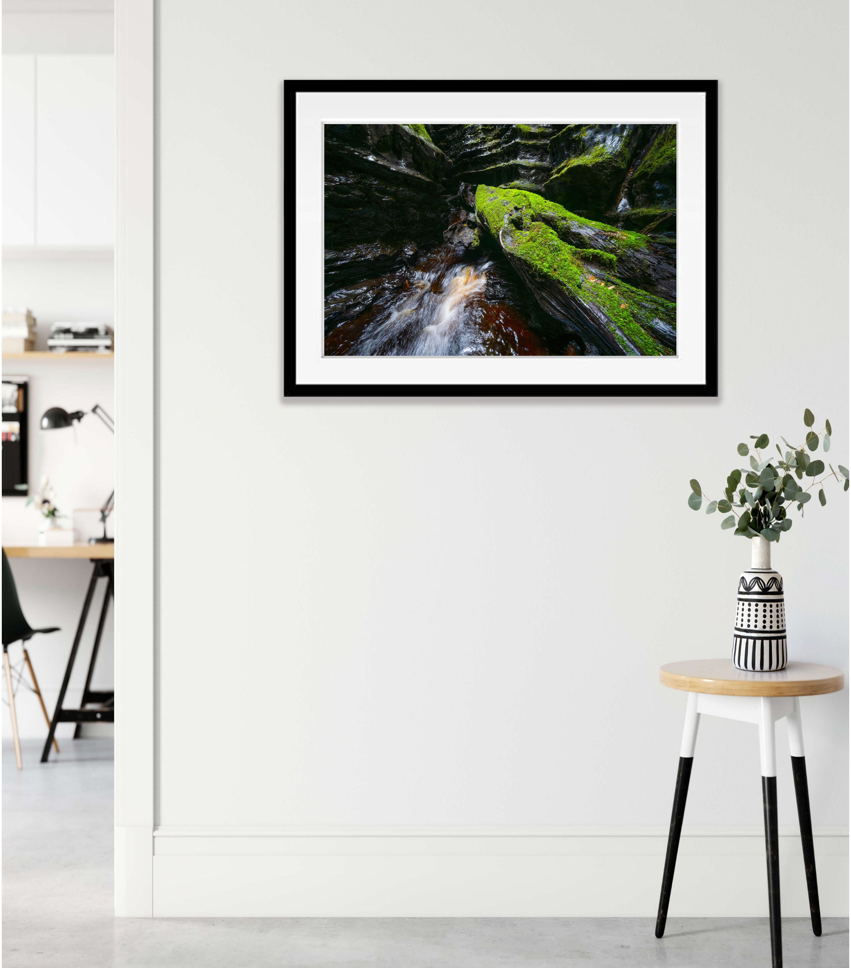 The Lost World, Franklin River No.11, Tasmania