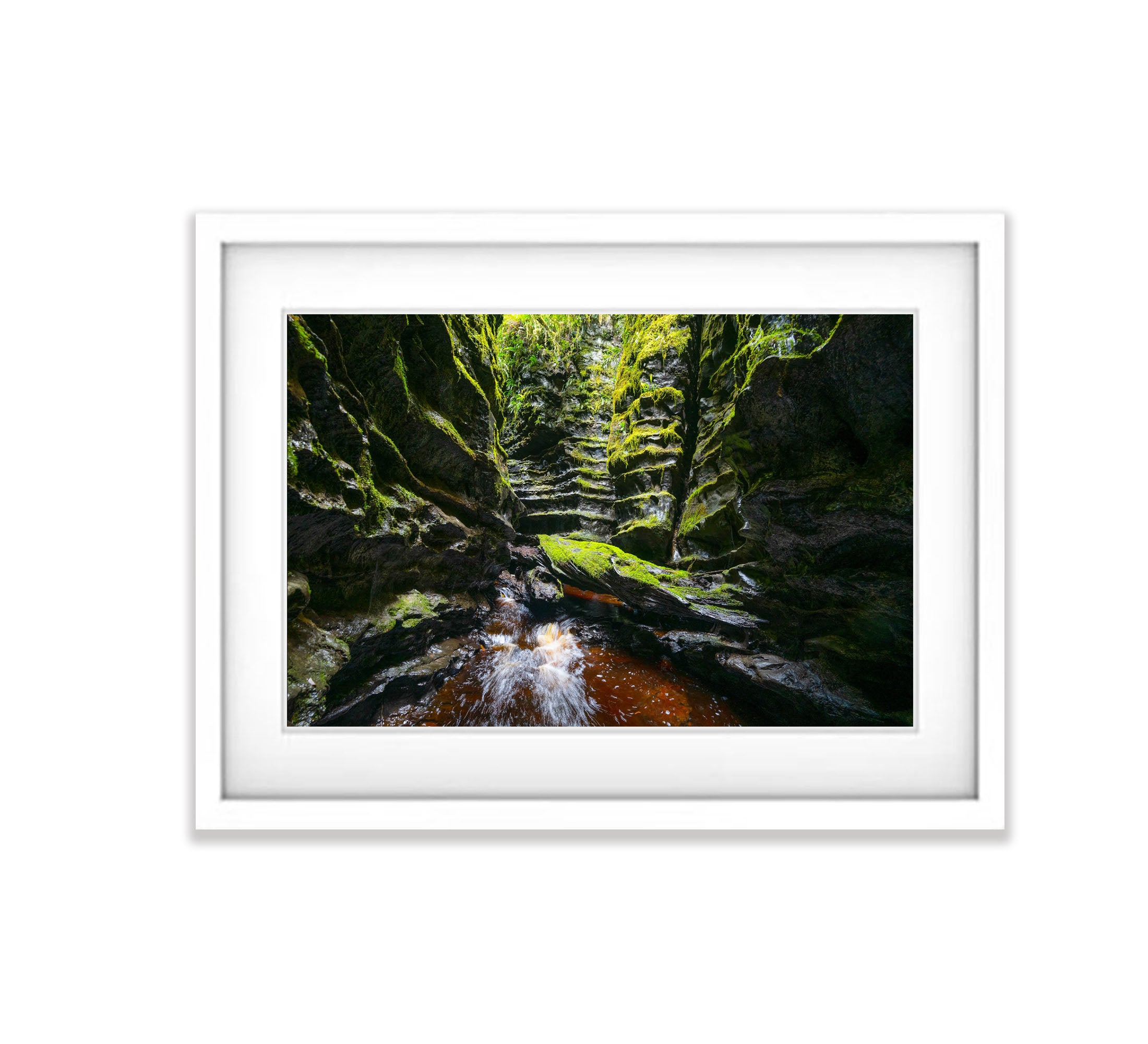The Lost World, Franklin River No.12, Tasmania