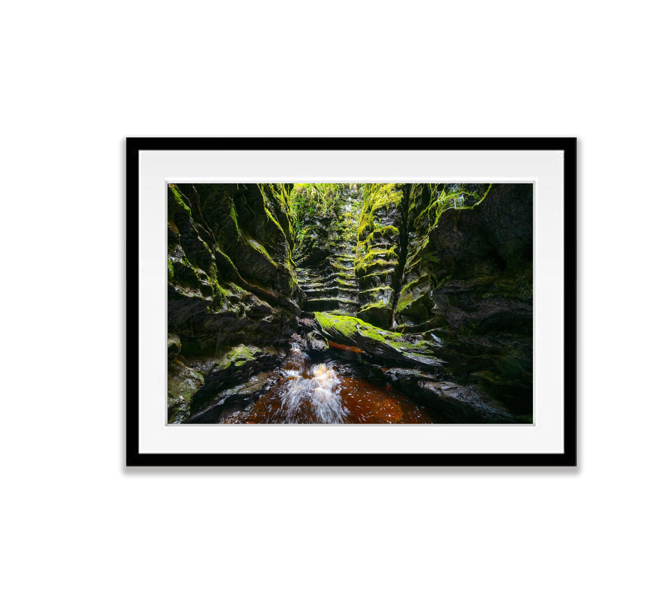 The Lost World, Franklin River No.12, Tasmania