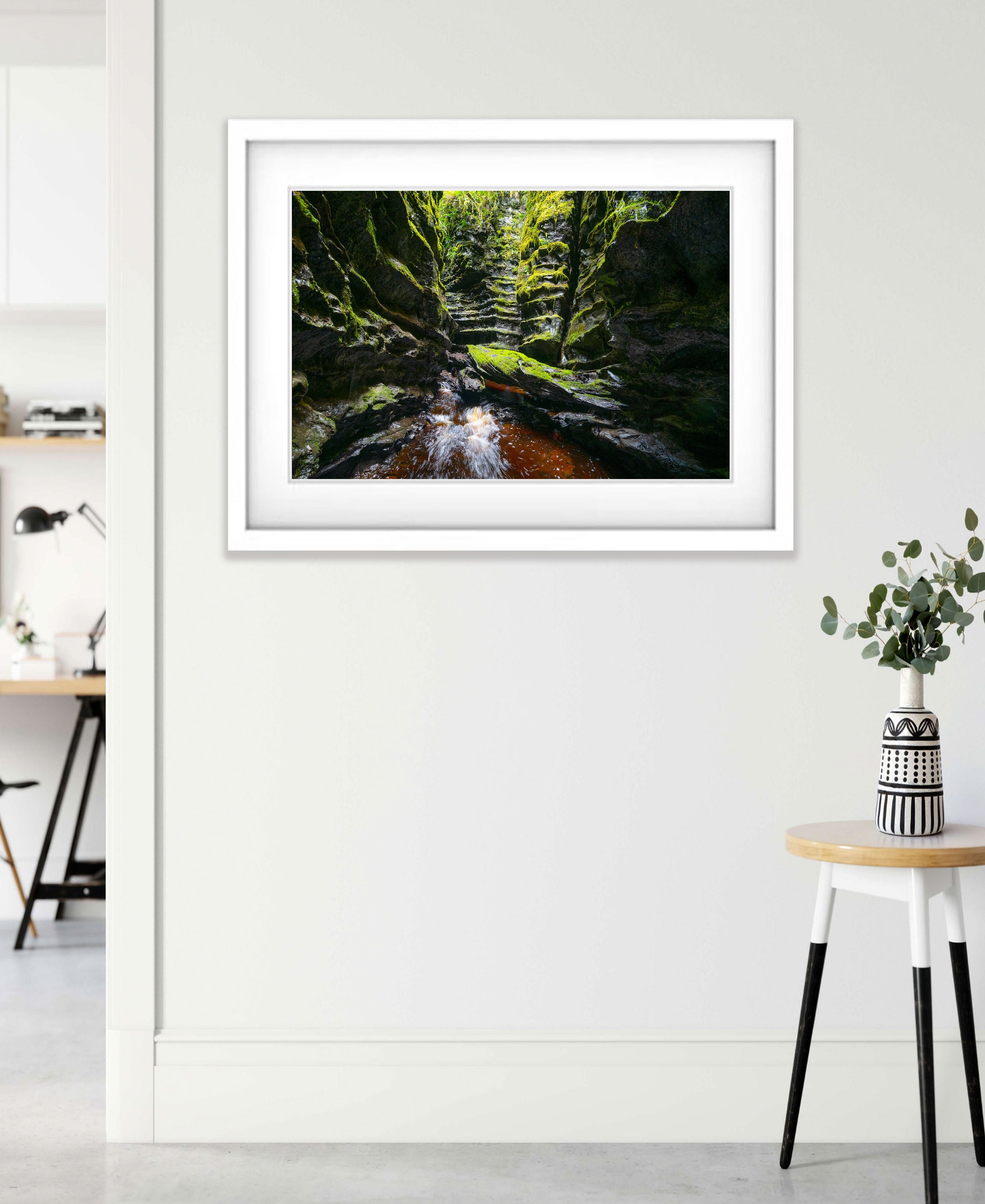 The Lost World, Franklin River No.12, Tasmania