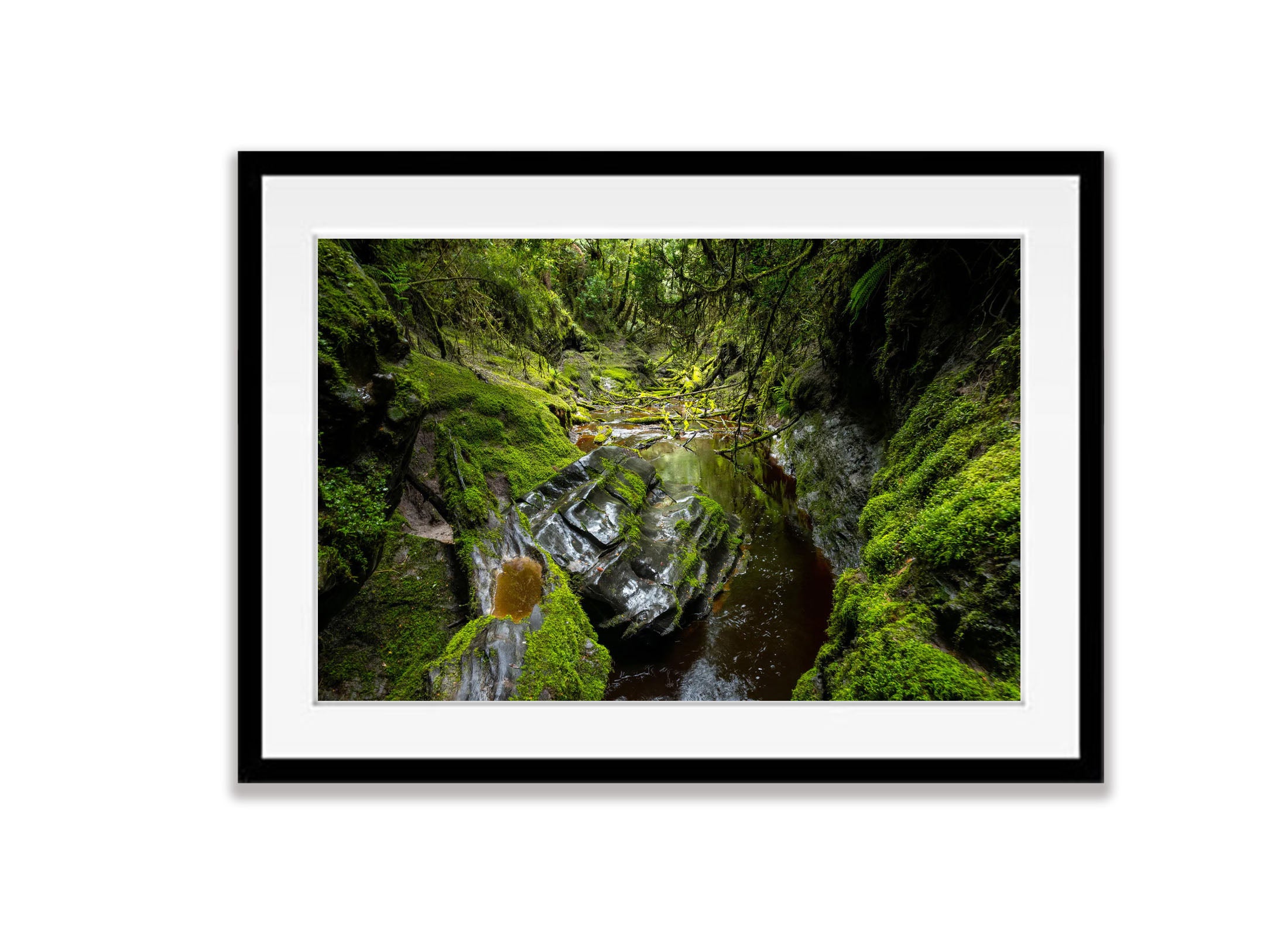 The Lost World, Franklin River No.8, Tasmania