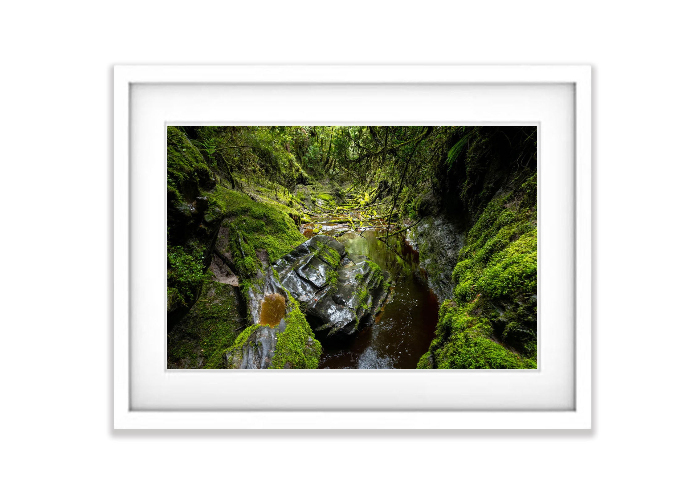 The Lost World, Franklin River No.8, Tasmania