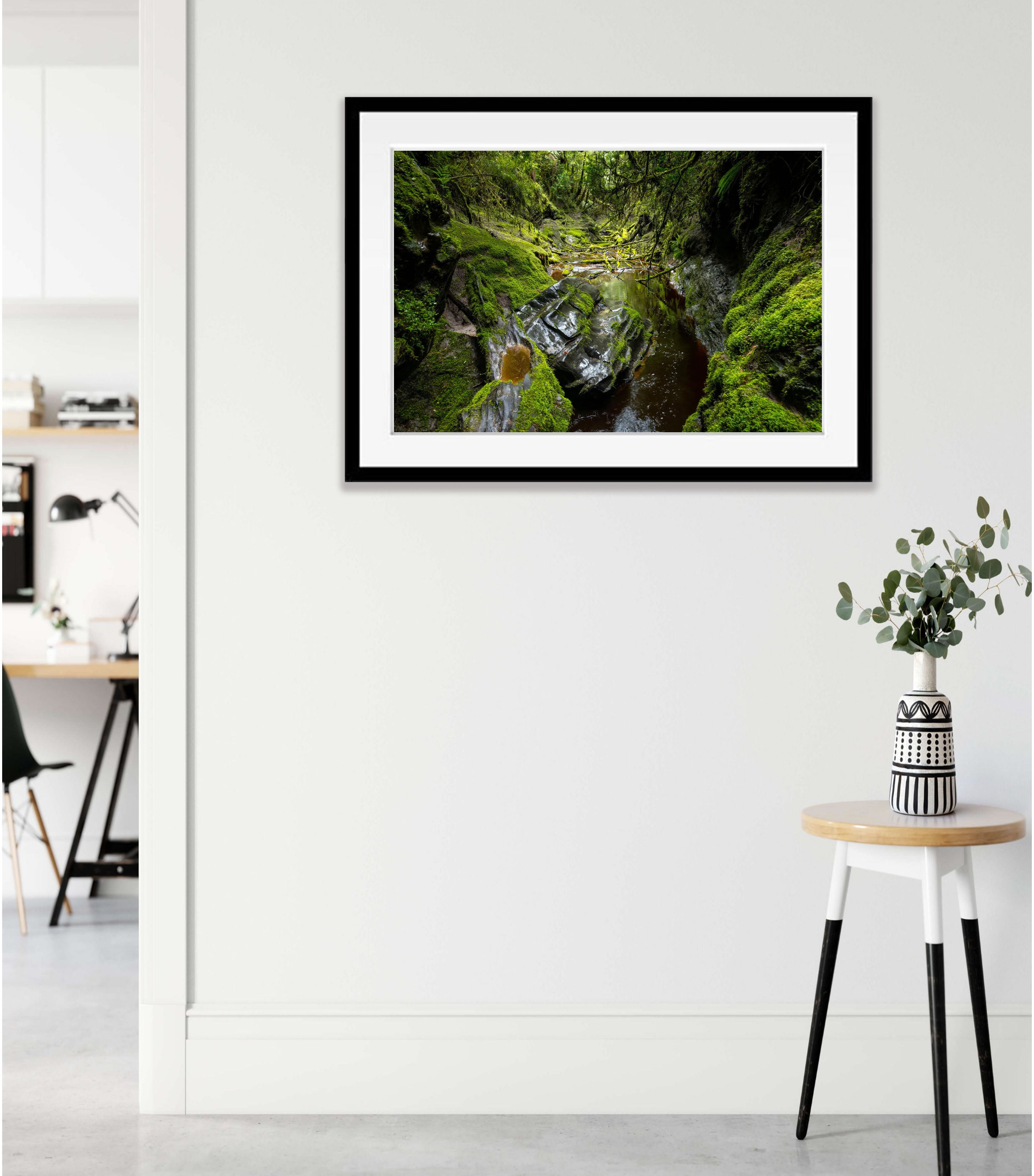 The Lost World, Franklin River No.8, Tasmania
