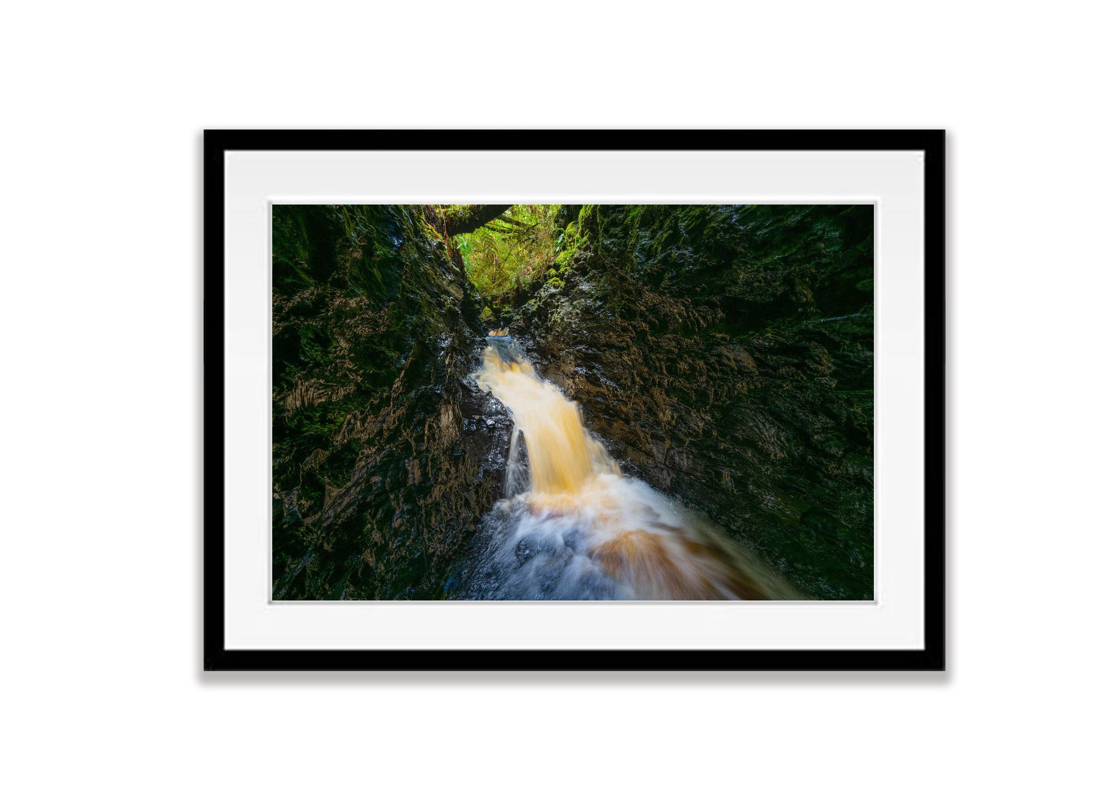 The Lost World, The Franklin River No.9, Tasmania