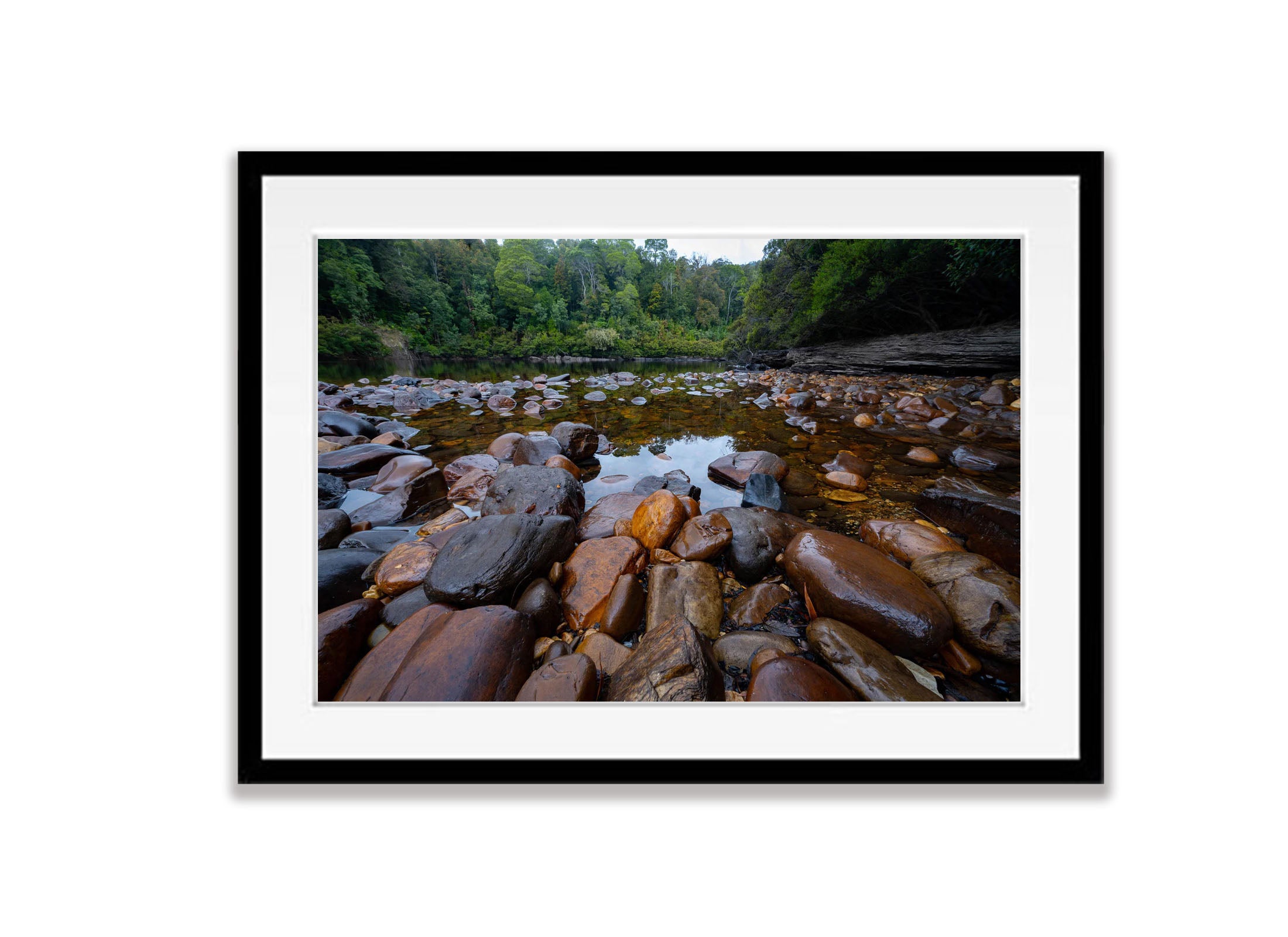 The Lower Franklin River, Tasmania