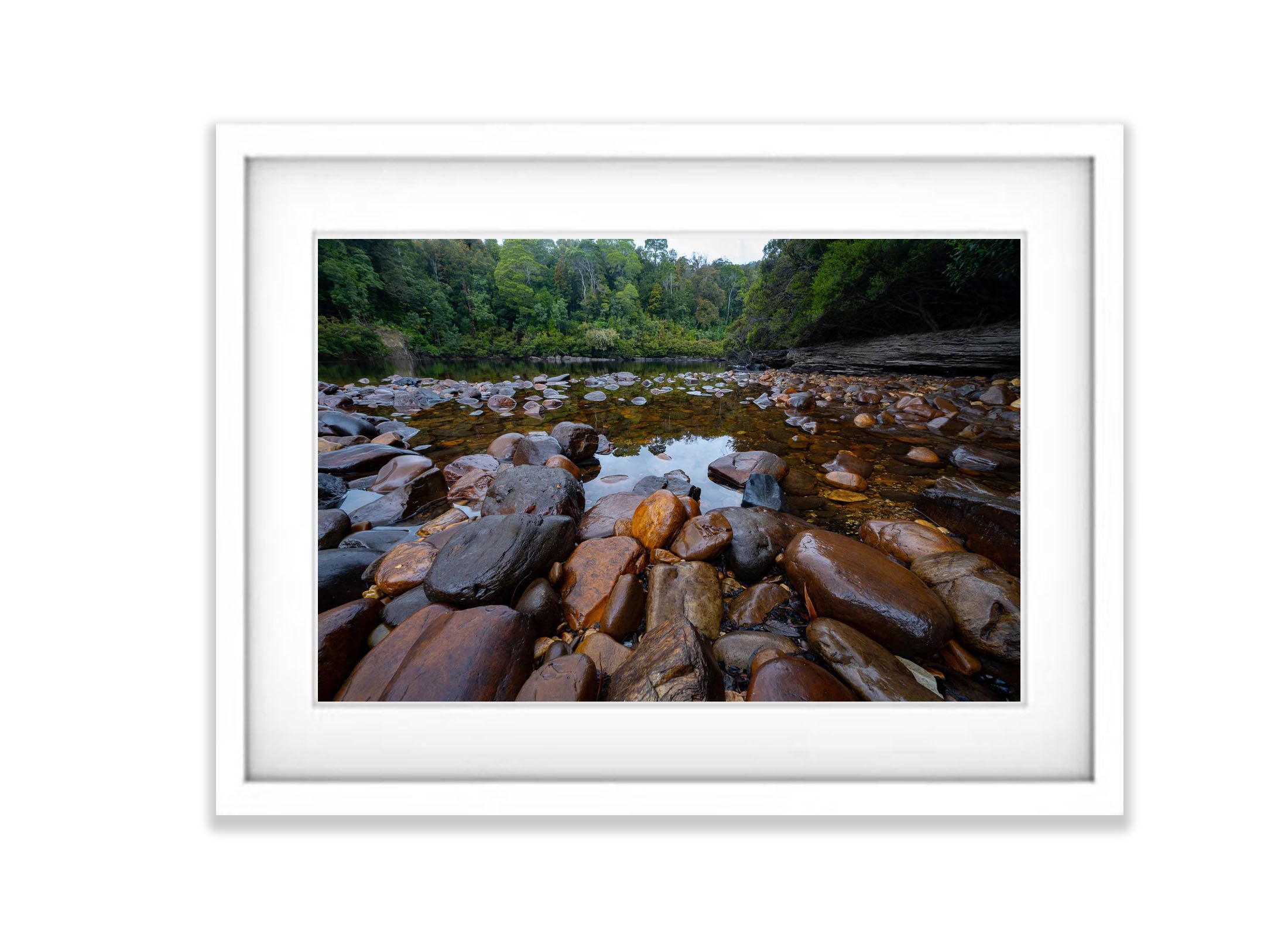 The Lower Franklin River, Tasmania