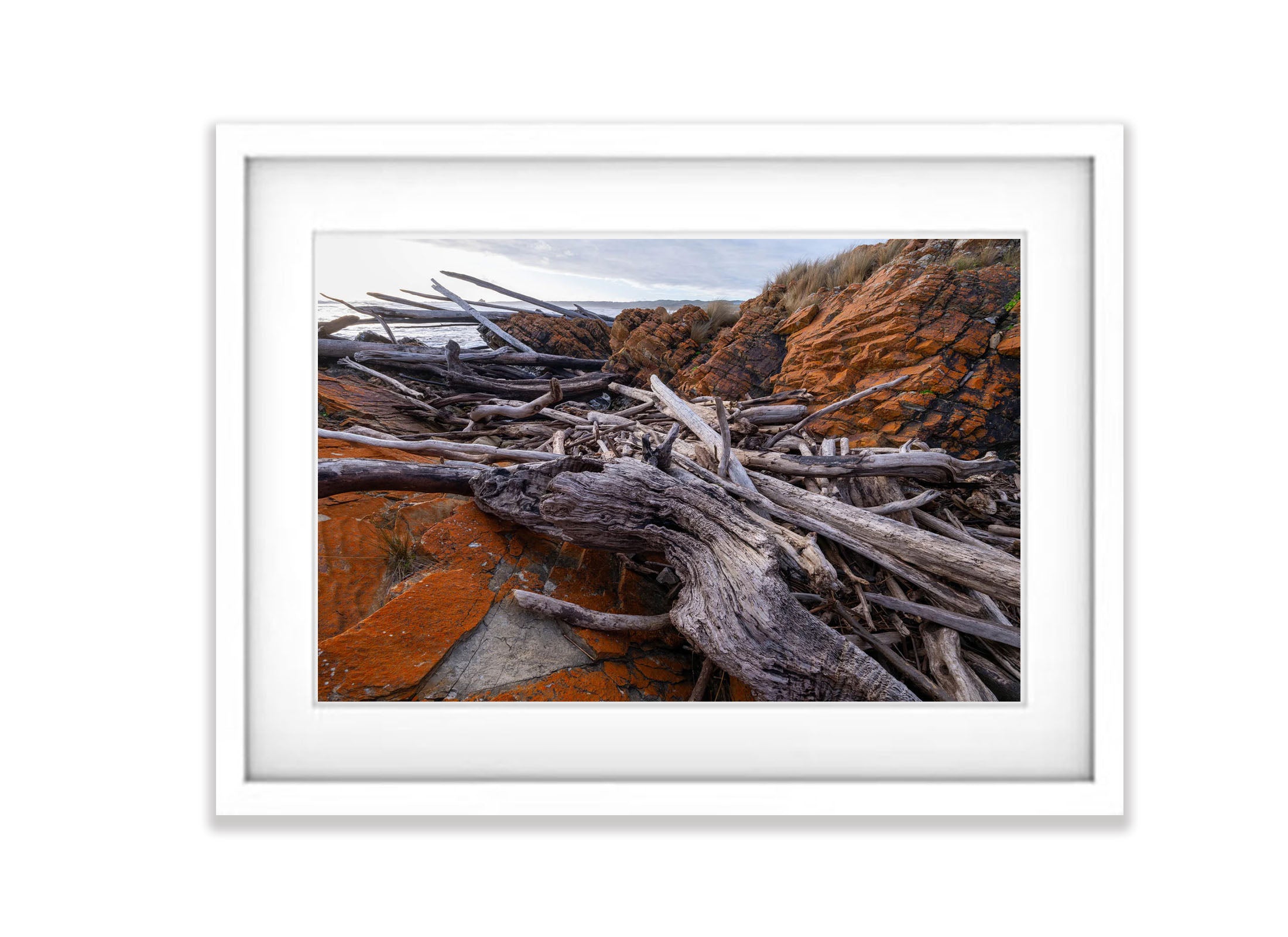 The Tarkine No.3, Tasmania