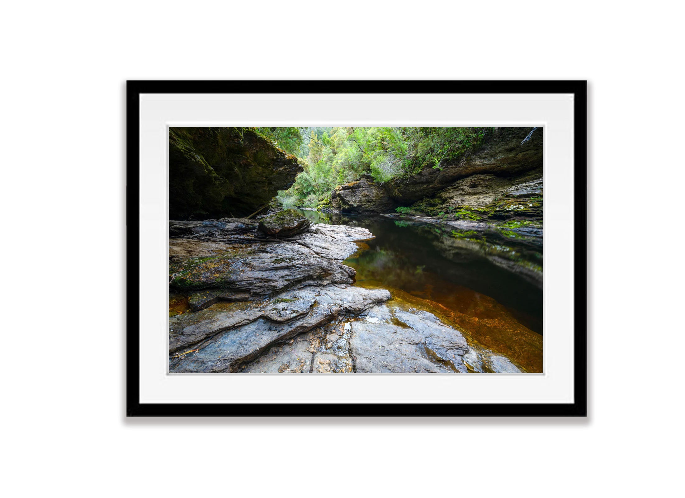 The Upper Franklin River No.3, Tasmania