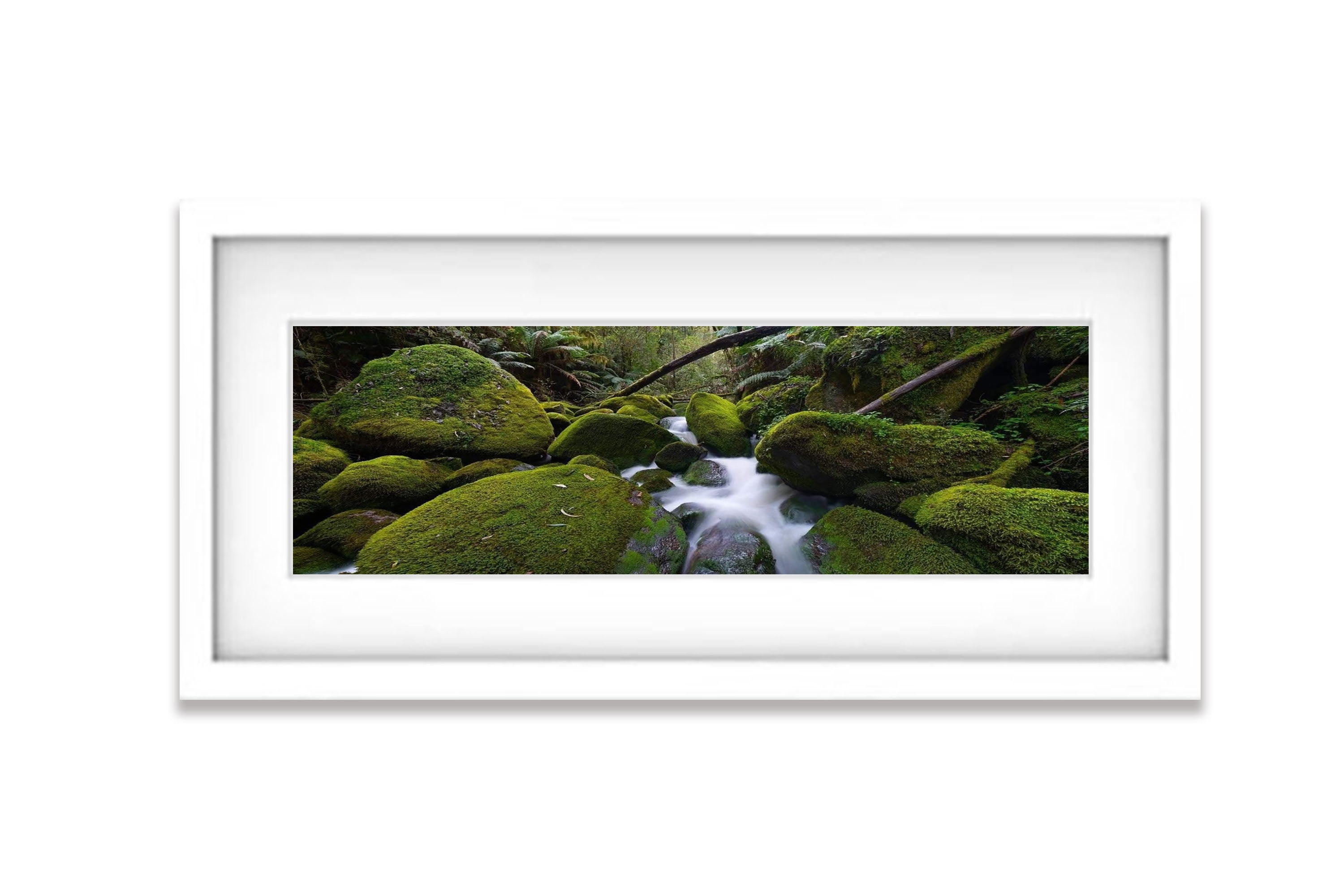 Toorongo Creek - Victorian High Country