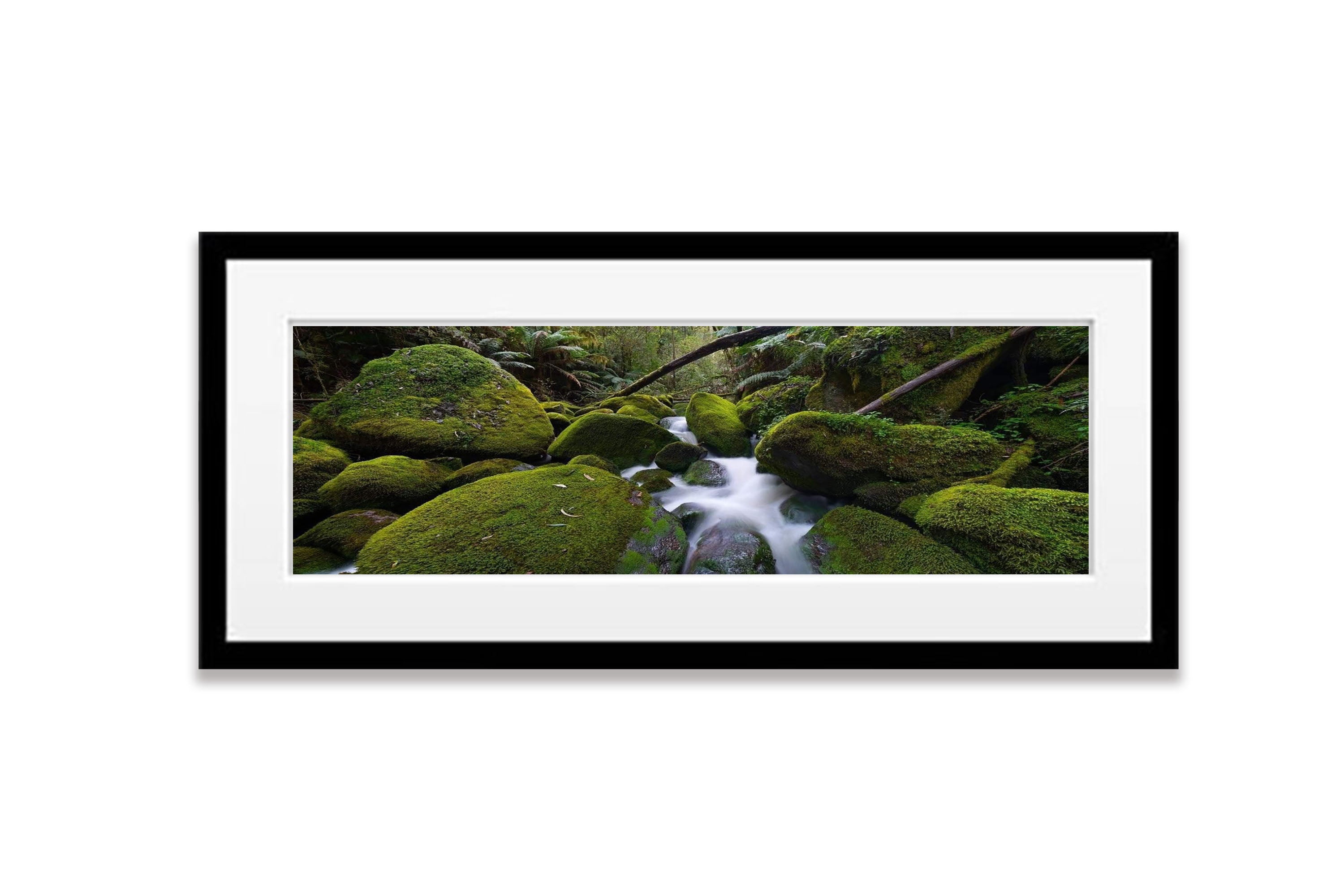 Toorongo Creek - Victorian High Country