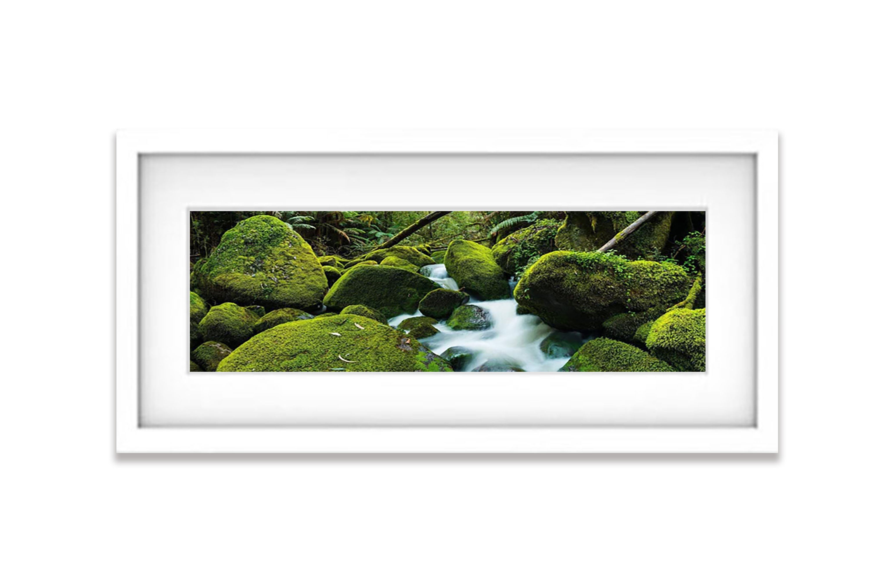 Toorongo River, Gippsland