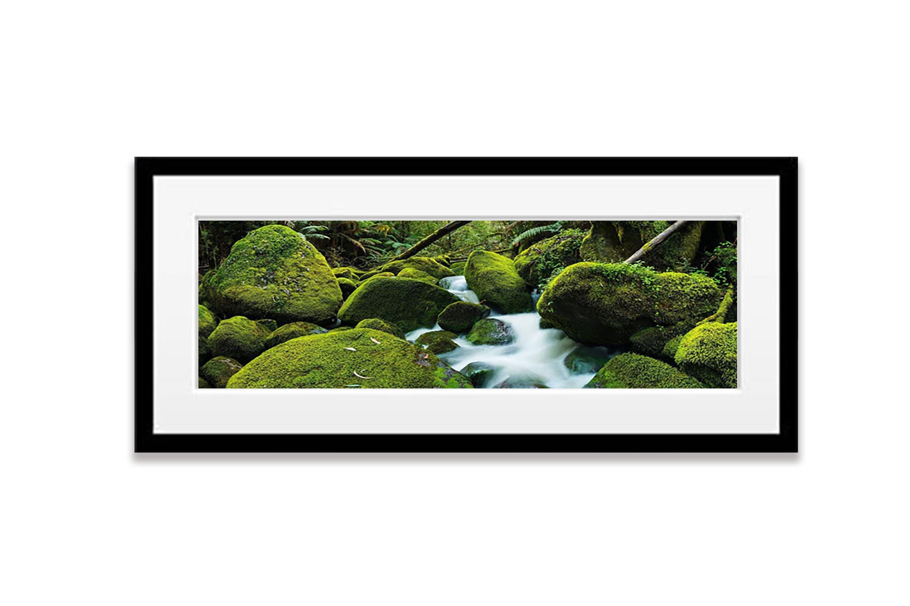 Toorongo River, Gippsland