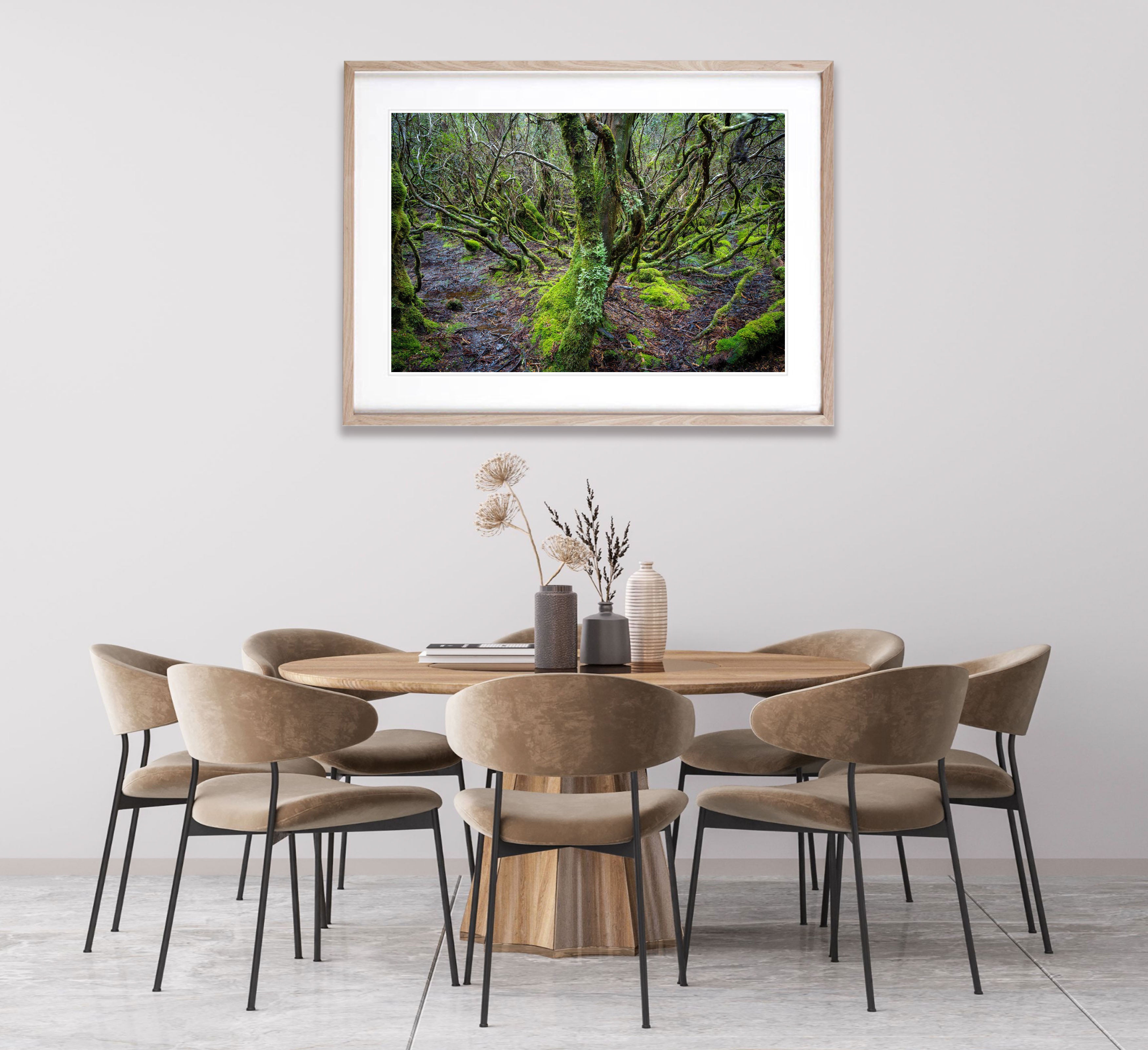 Weindorfers Forest No.2, Cradle Mountain, Tasmania
