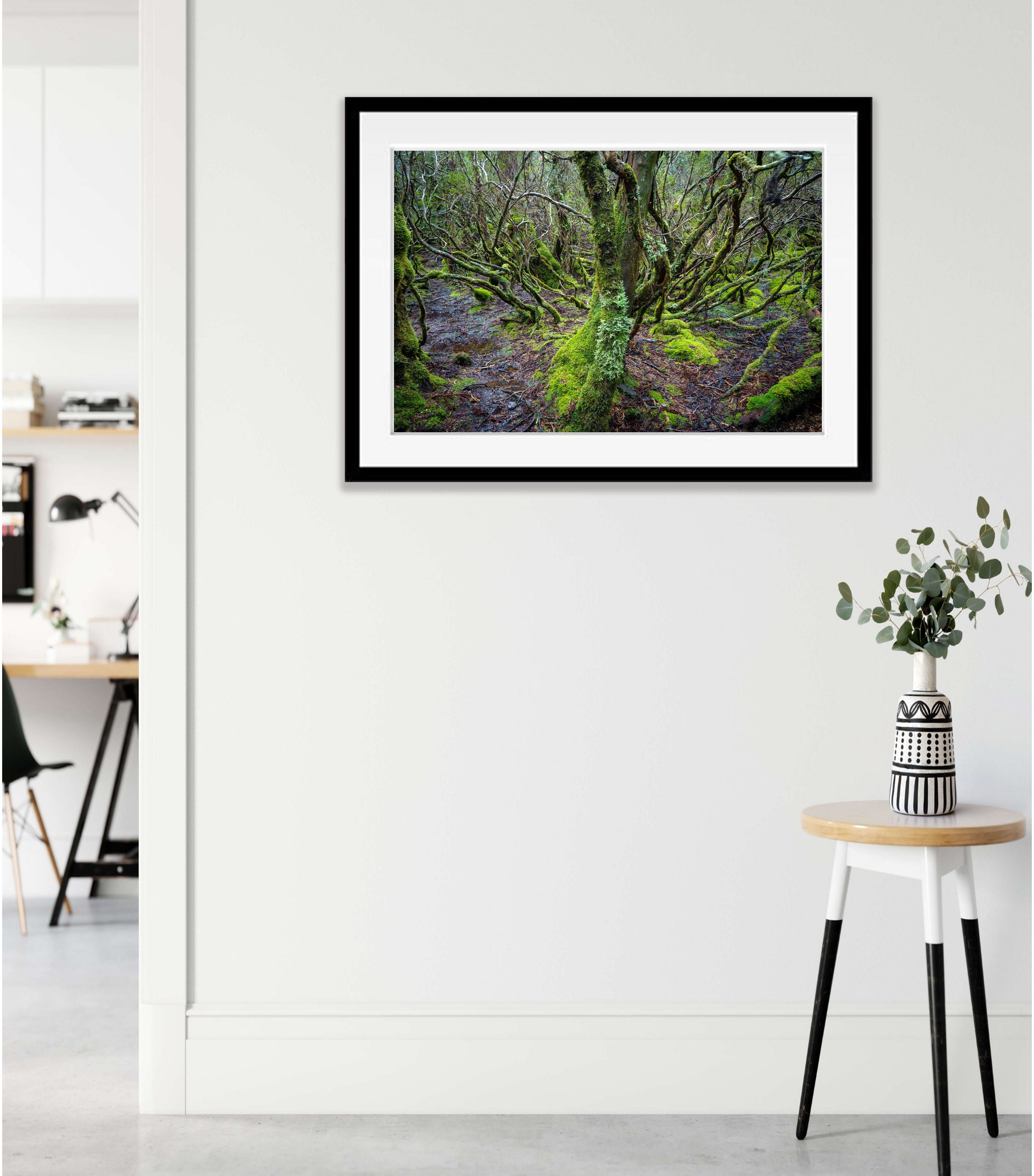 Weindorfers Forest No.2, Cradle Mountain, Tasmania