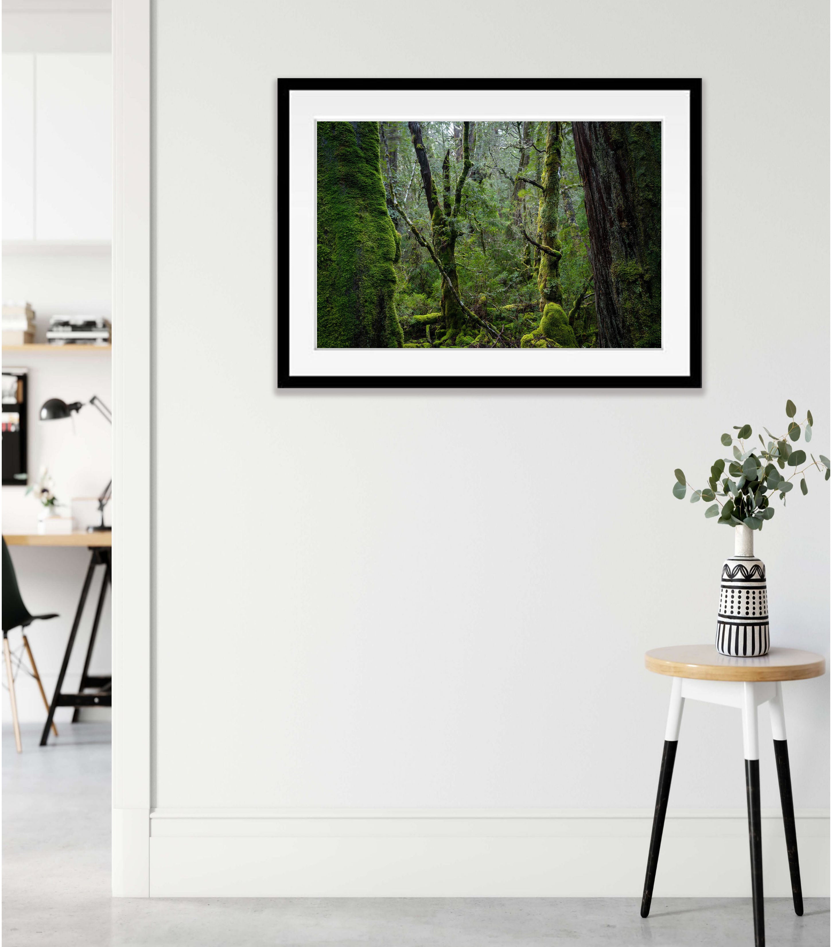 Weindorfers Forest No.3, Cradle Mountain, Tasmania