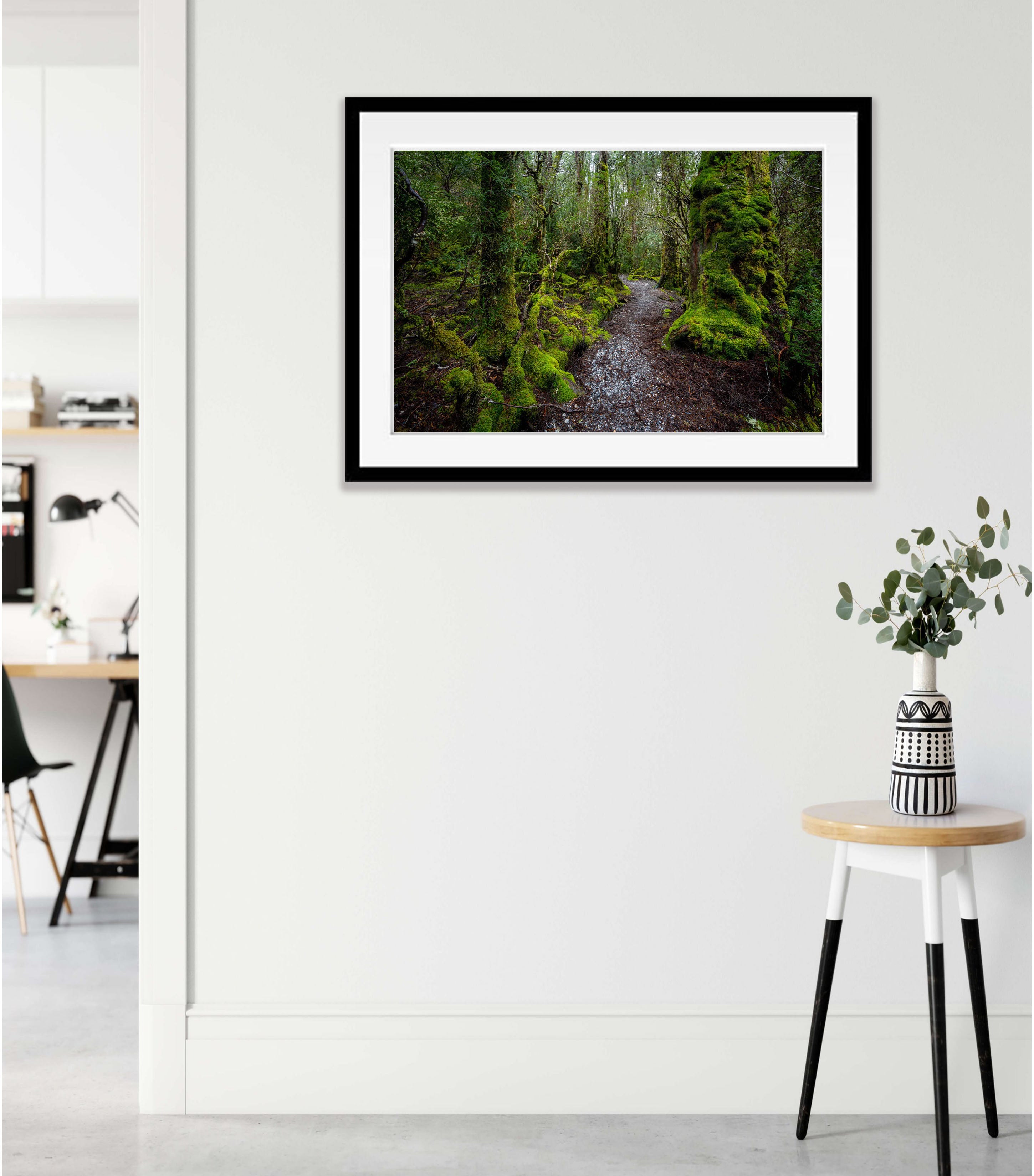 Weindorfers Forest, Cradle Mountain, Tasmania