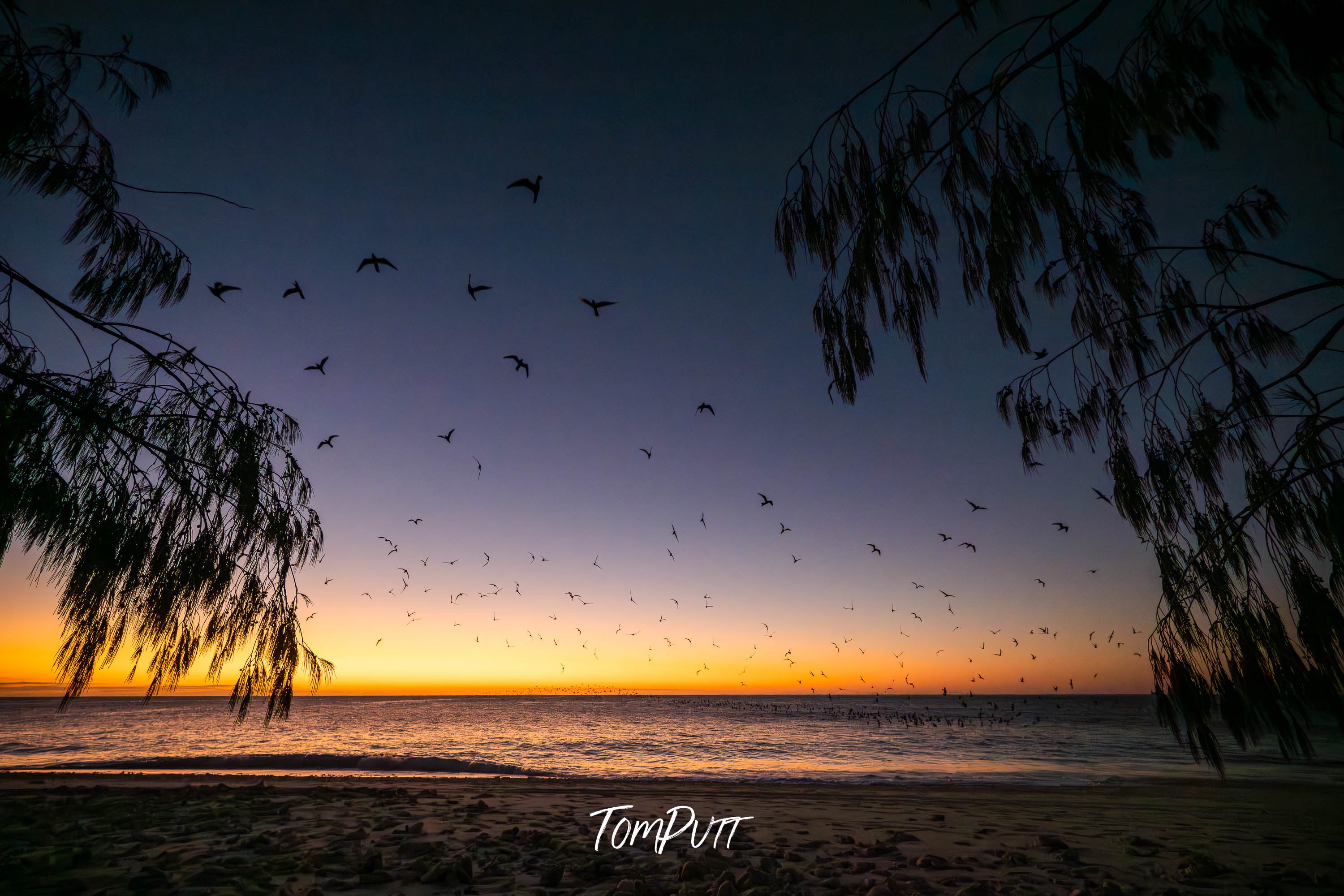 Island Sunset Flight