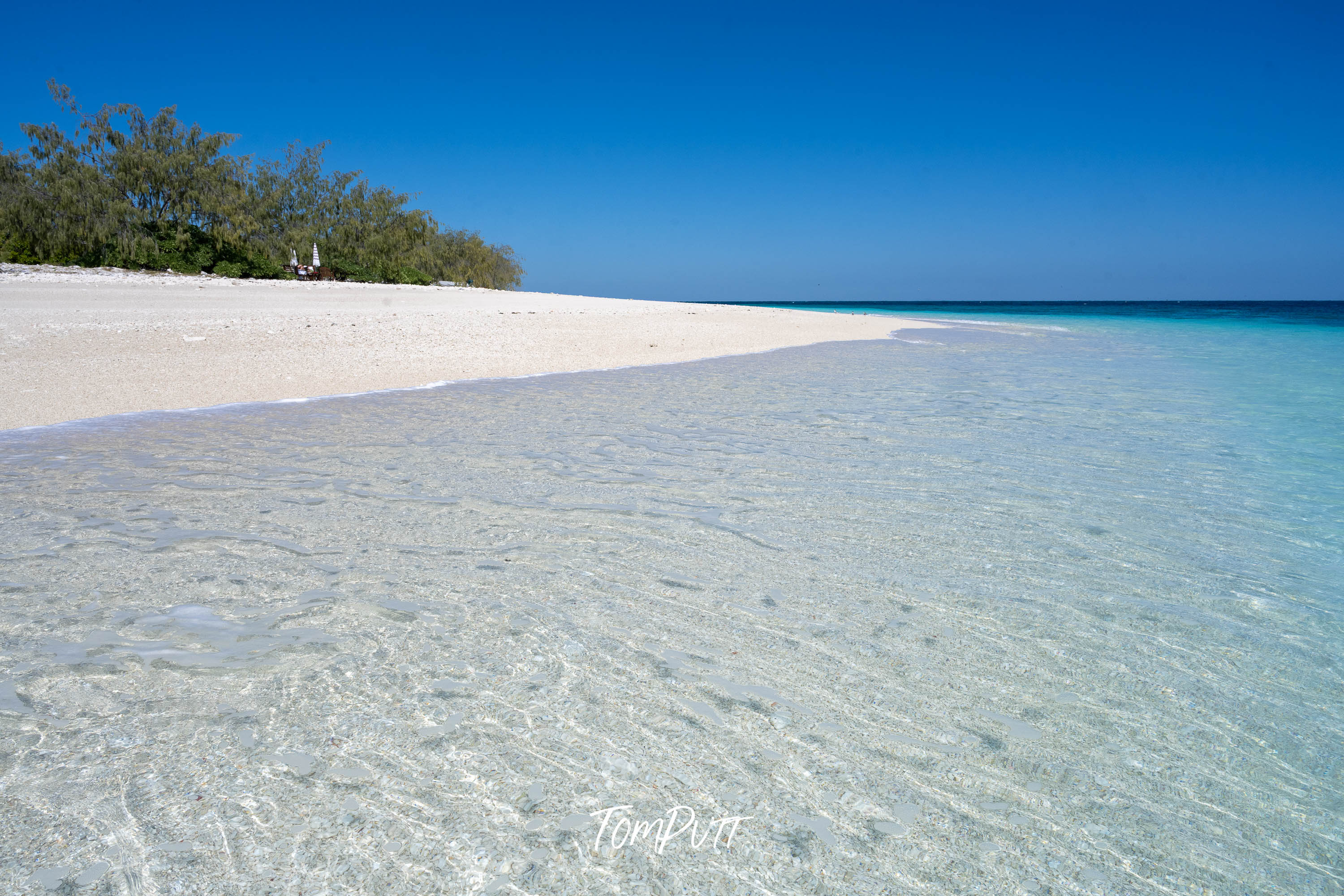 Wilson Island Paradise