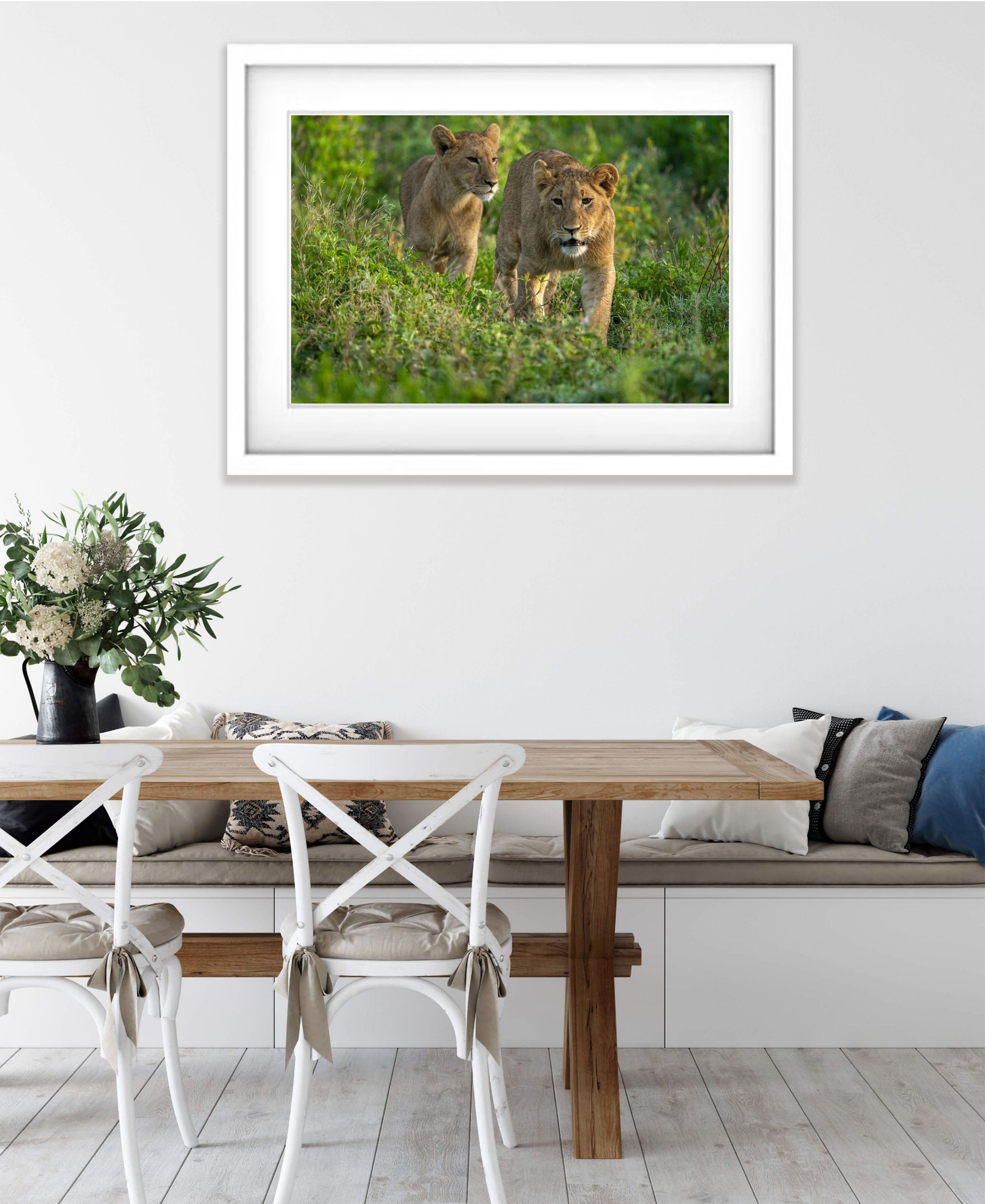 Young Lions taking a walk, Tanzania
