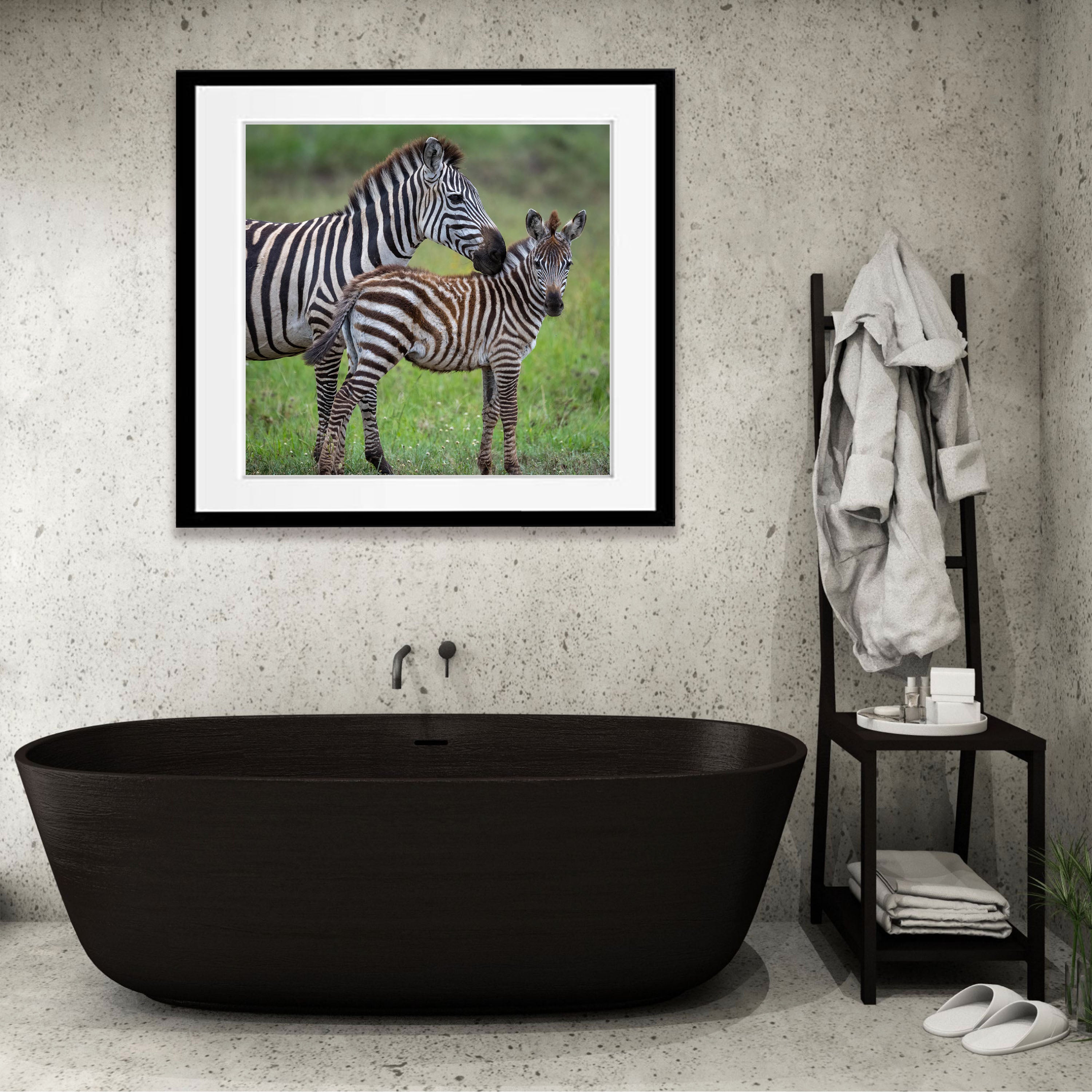 Young Zebra with mum, Tanzania