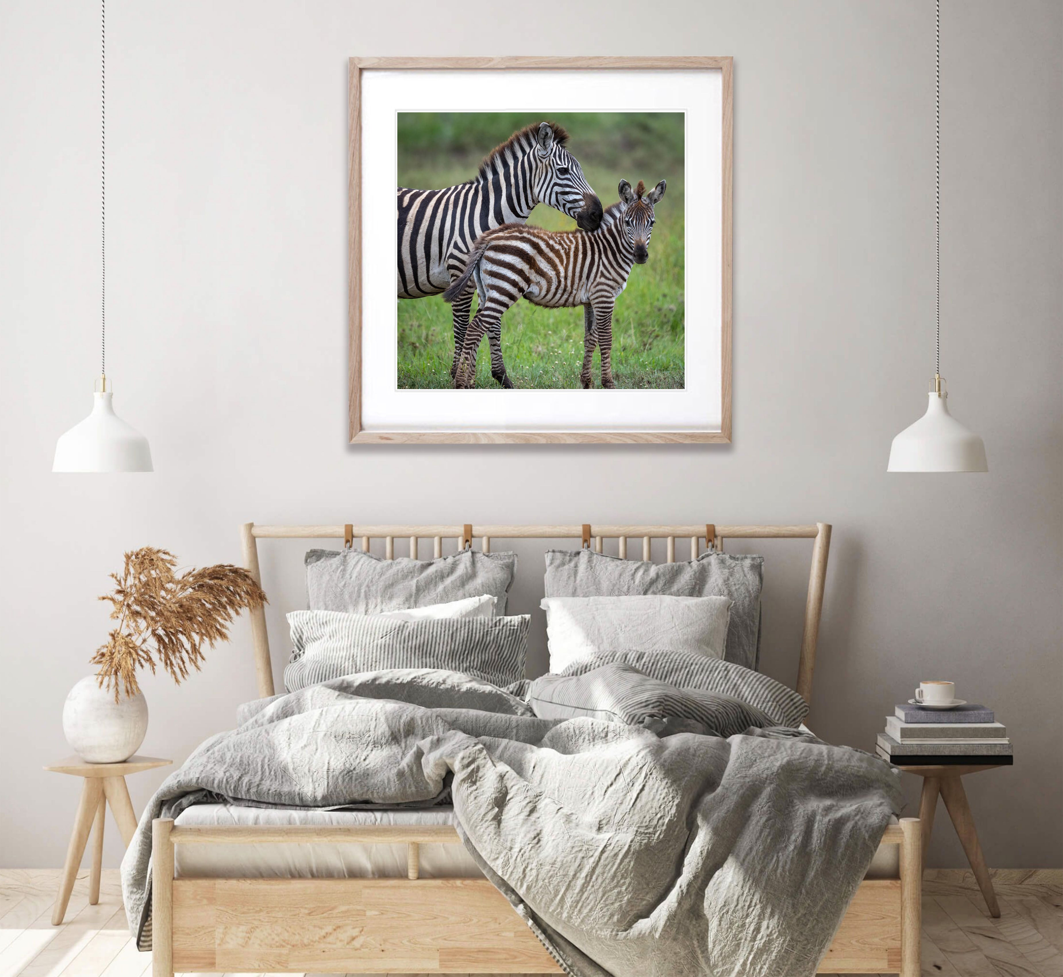 Young Zebra with mum, Tanzania