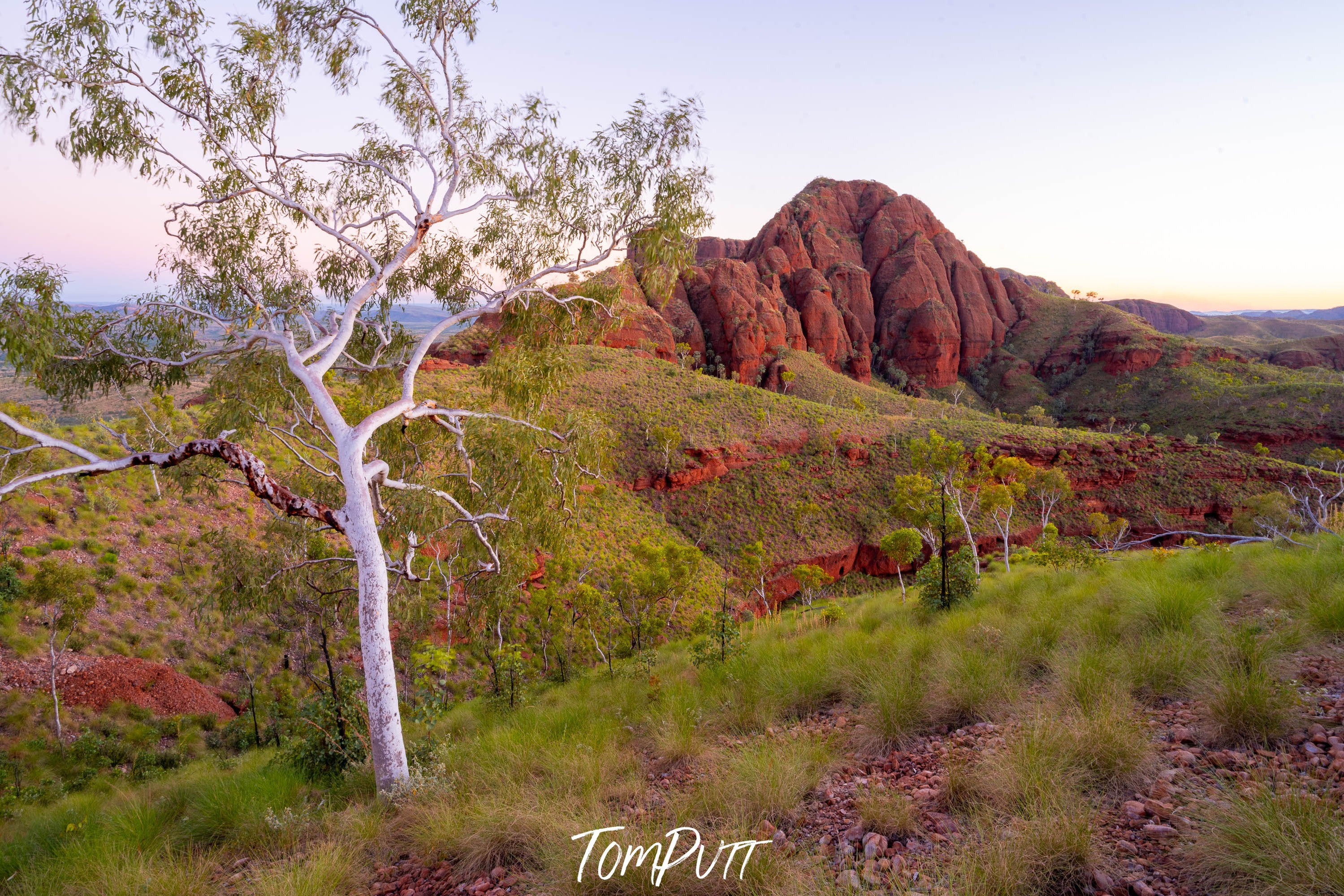 Nature's Embrace, Ragged Range, The Kimberley