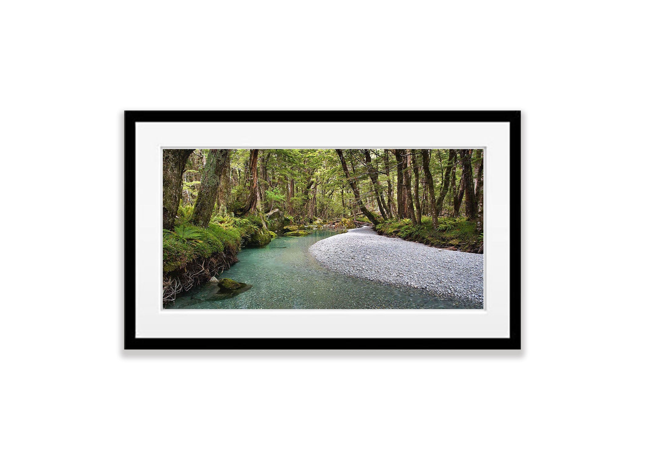 A Quiet Stream, Routeburn Track - New Zealand