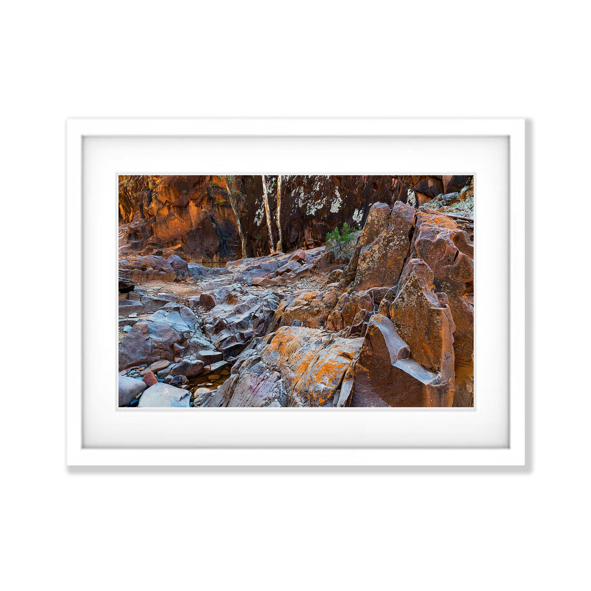 Alligator Gorge, Flinders Ranges, SA