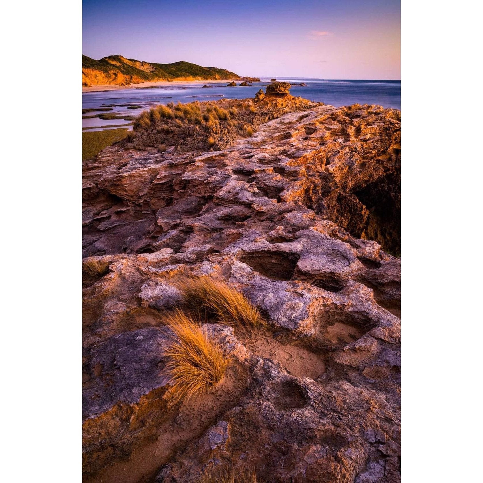 Natural shapes of giant footprints on a large stone with little bushes on it, and the seashore in the background, Ancient footprints, Point Nepean, Mornington Peninsula 