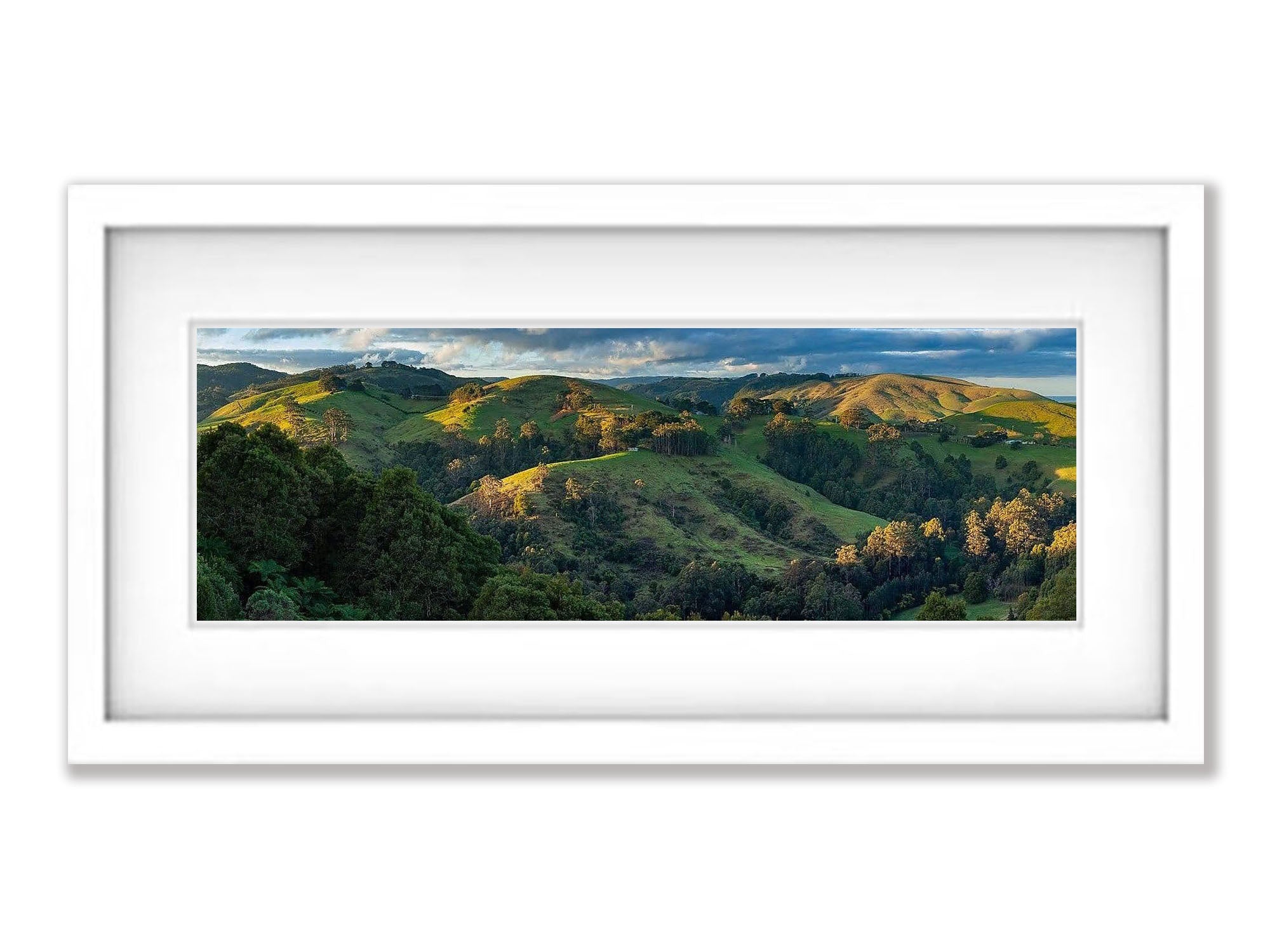 Apollo Bay Countryside - Great Ocean Road VIC