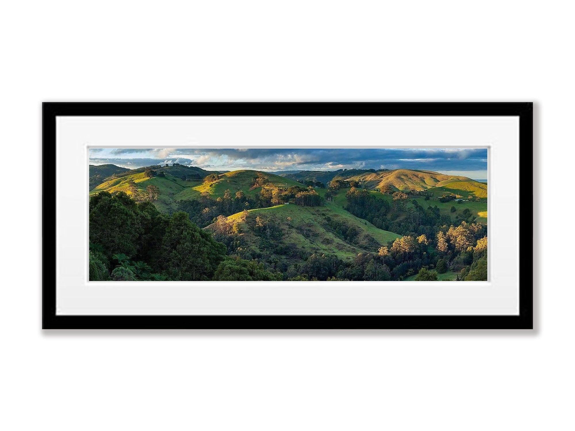 Apollo Bay Countryside - Great Ocean Road VIC