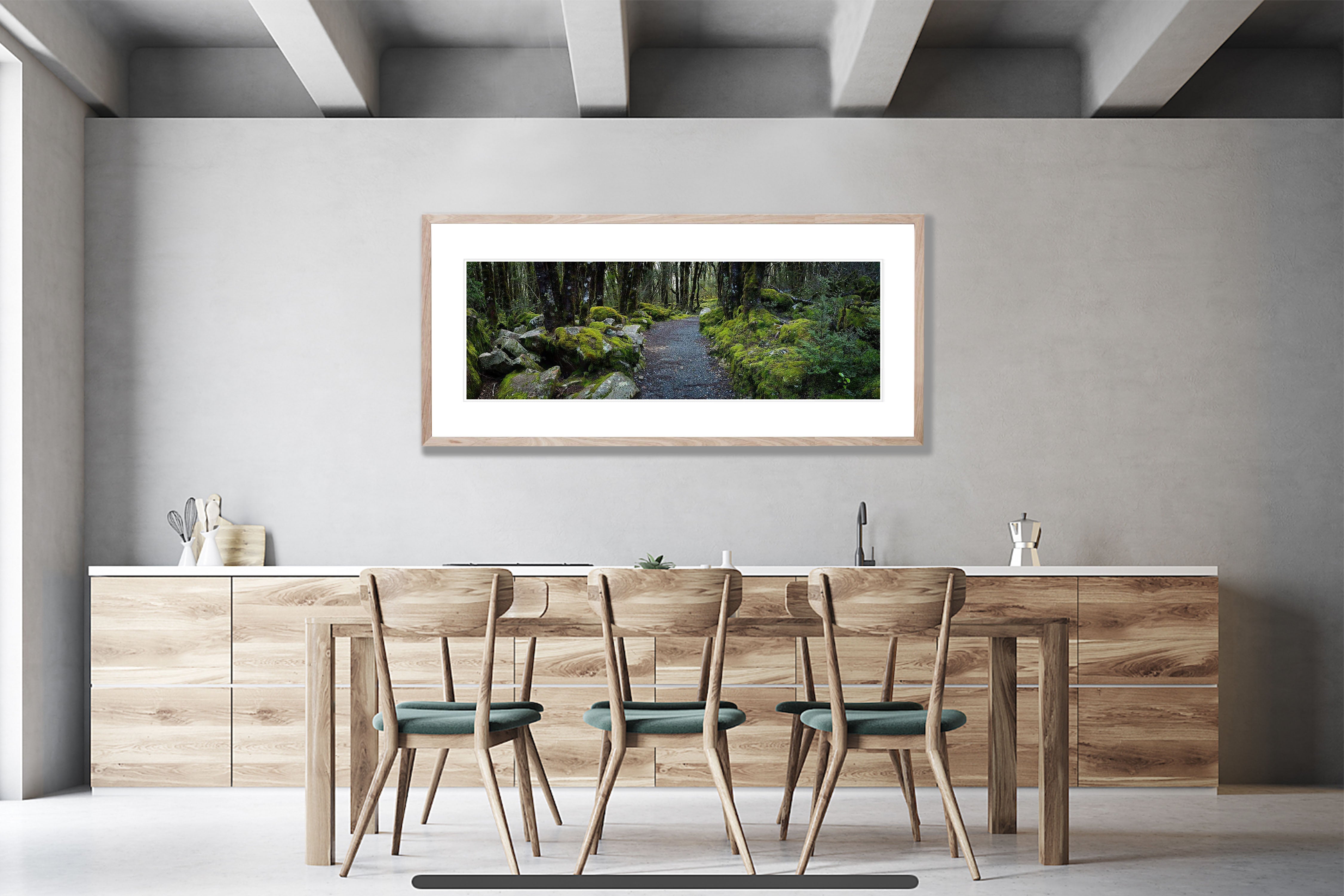 Arthurs Pass Forest - New Zealand