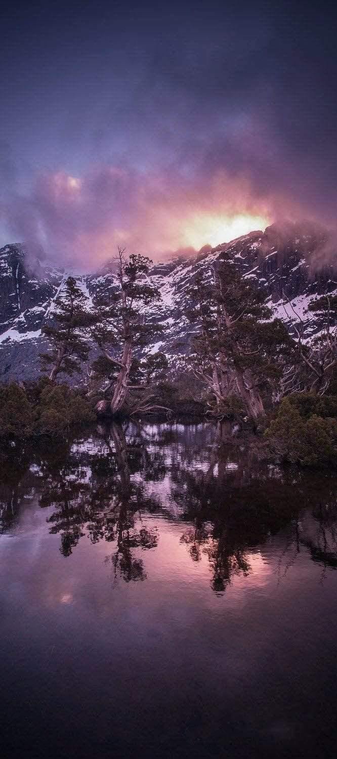 A night view of snowy mounds with long trees and plants forming a clear reflection in the lake below, Artists Pool - Cradle Mountain TAS