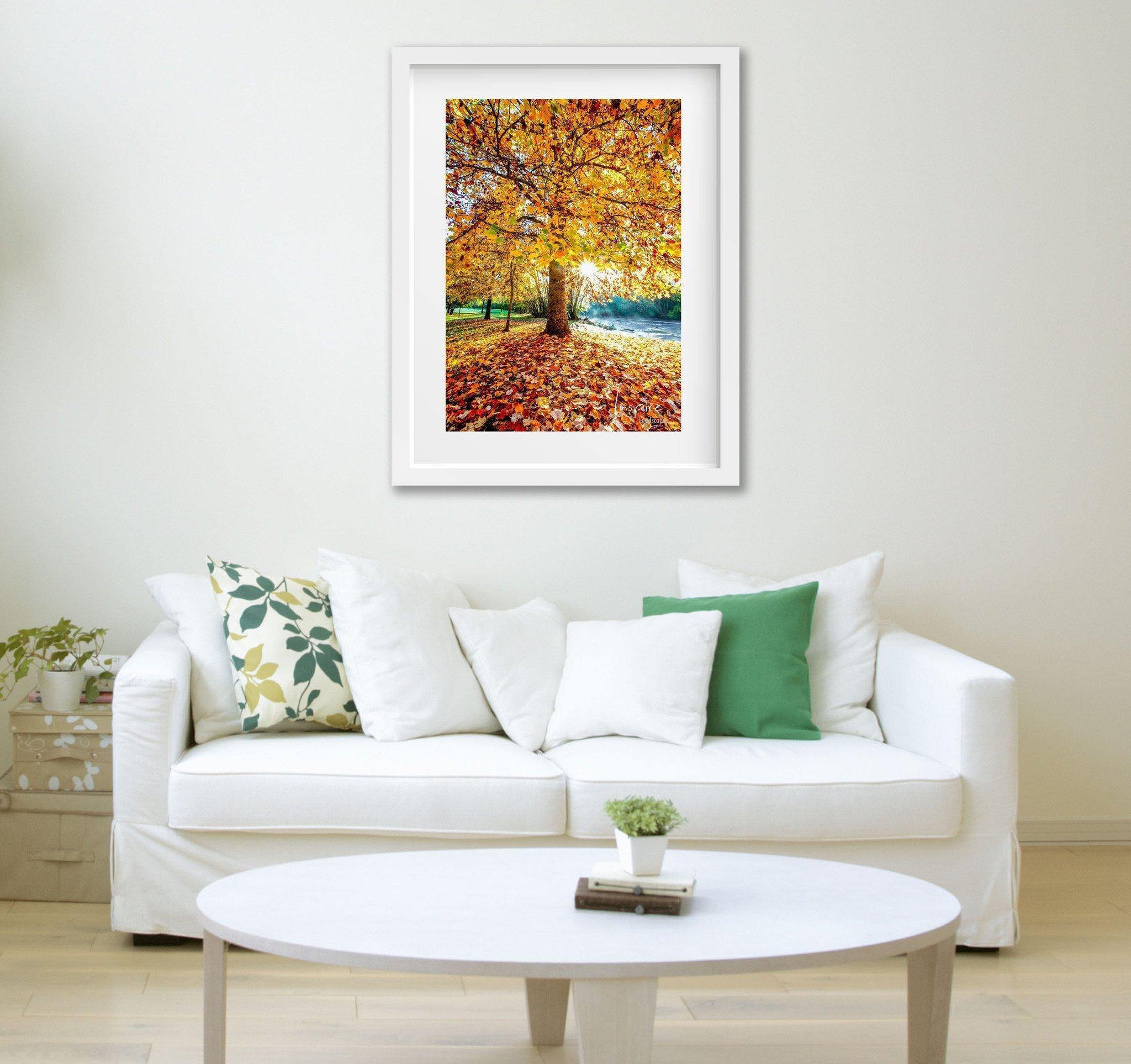 Autumn Colours-Tom-Putt-Landscape-Prints