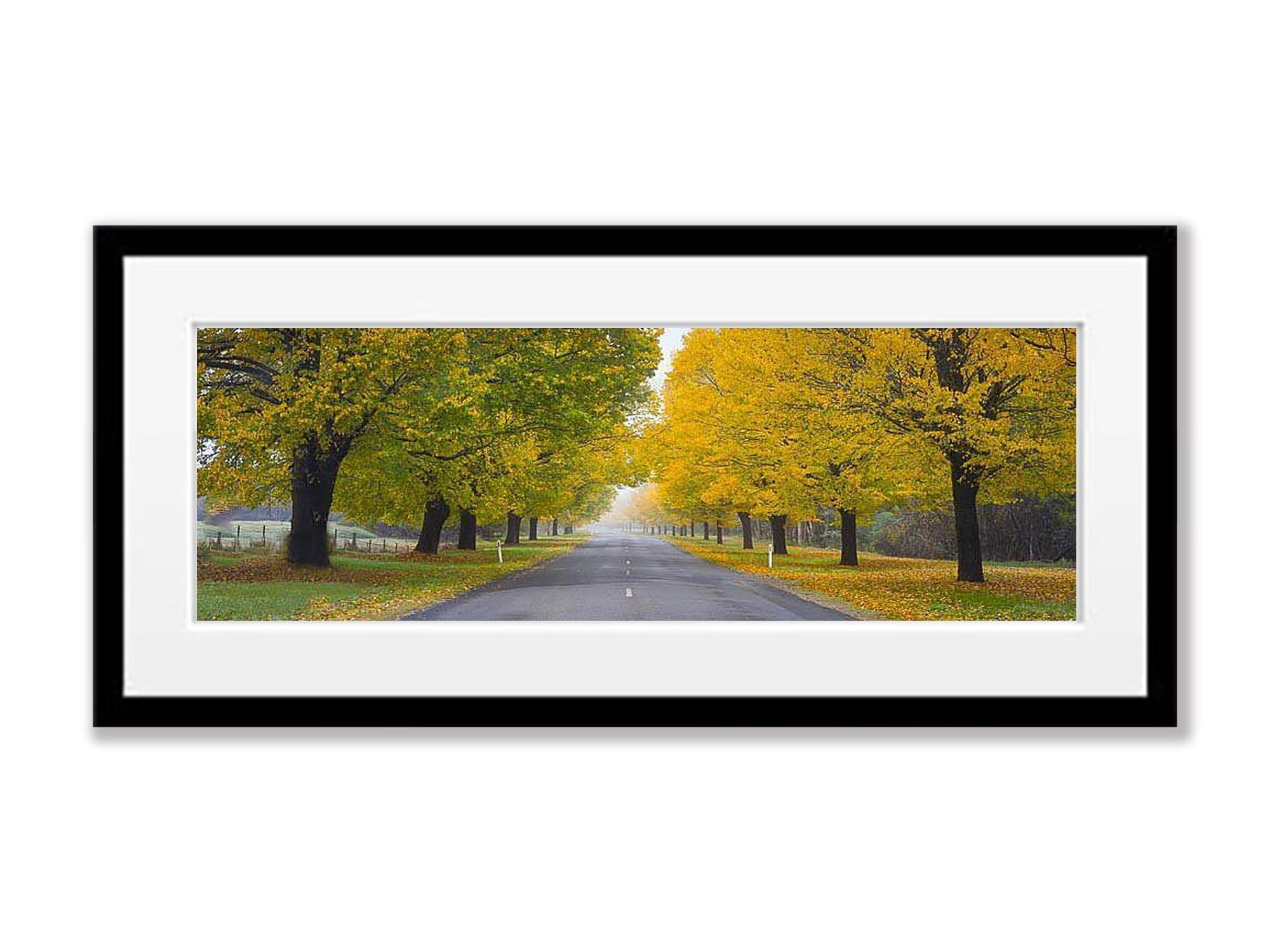 Autumn Road, Bright Victoria