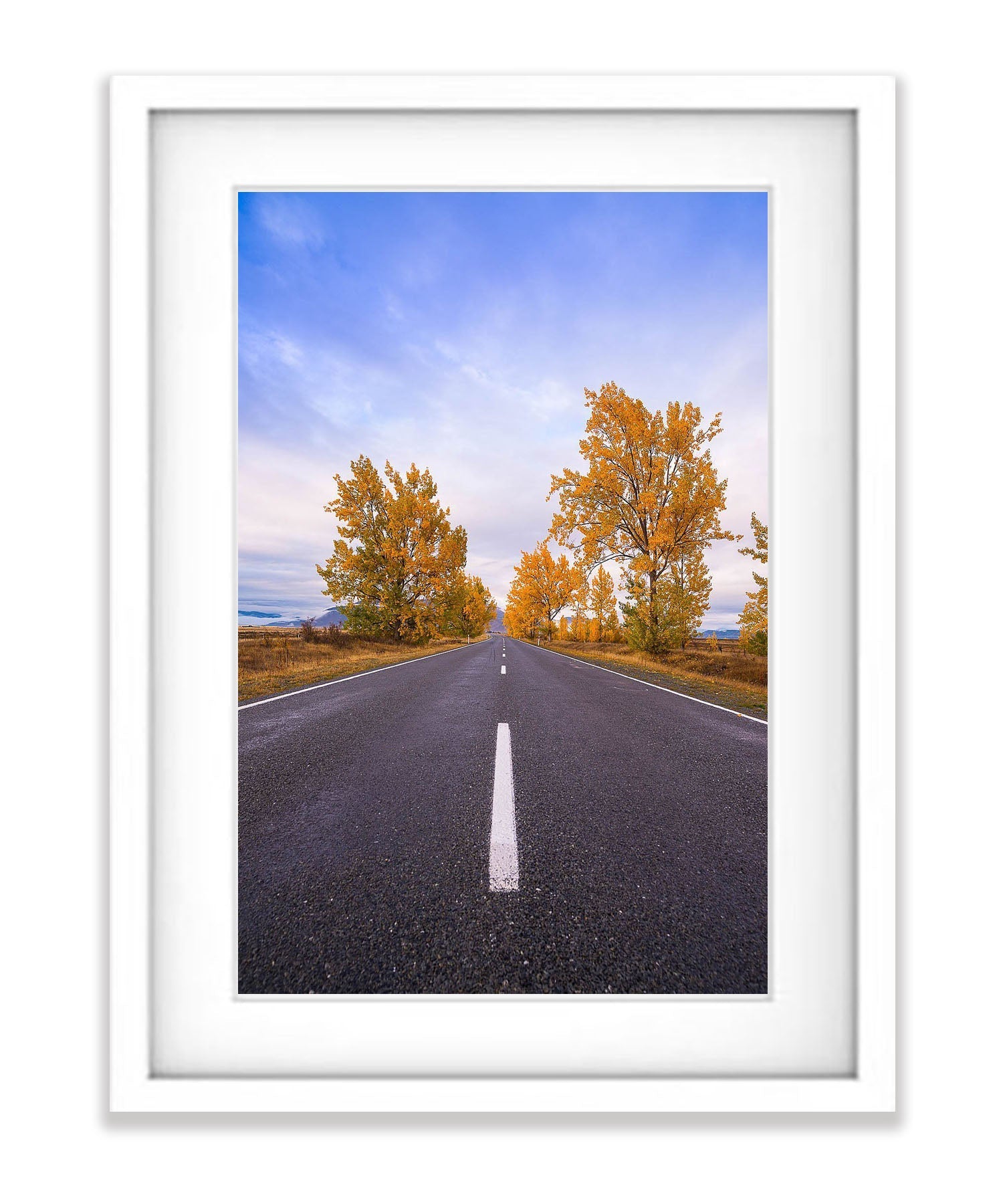 Autumn Trees line the road, South Island, New Zealand