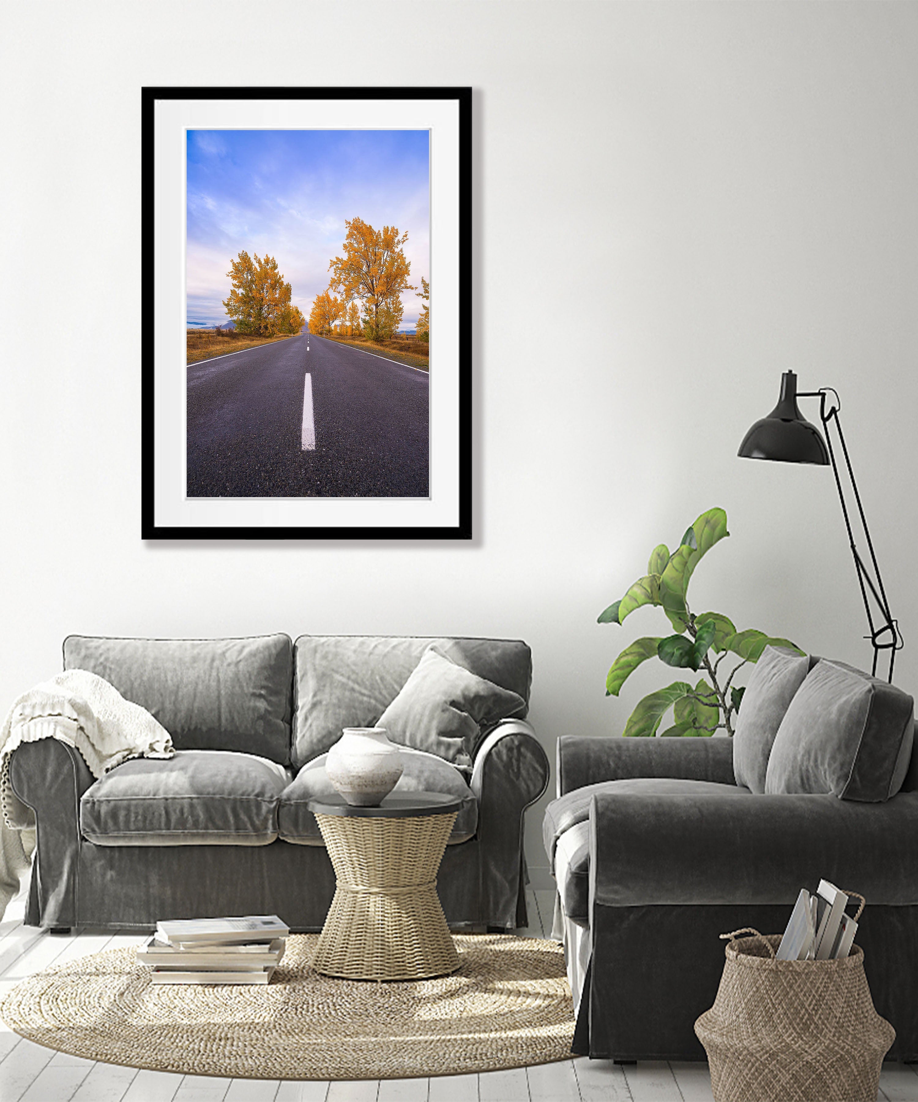 Autumn Trees line the road, South Island, New Zealand