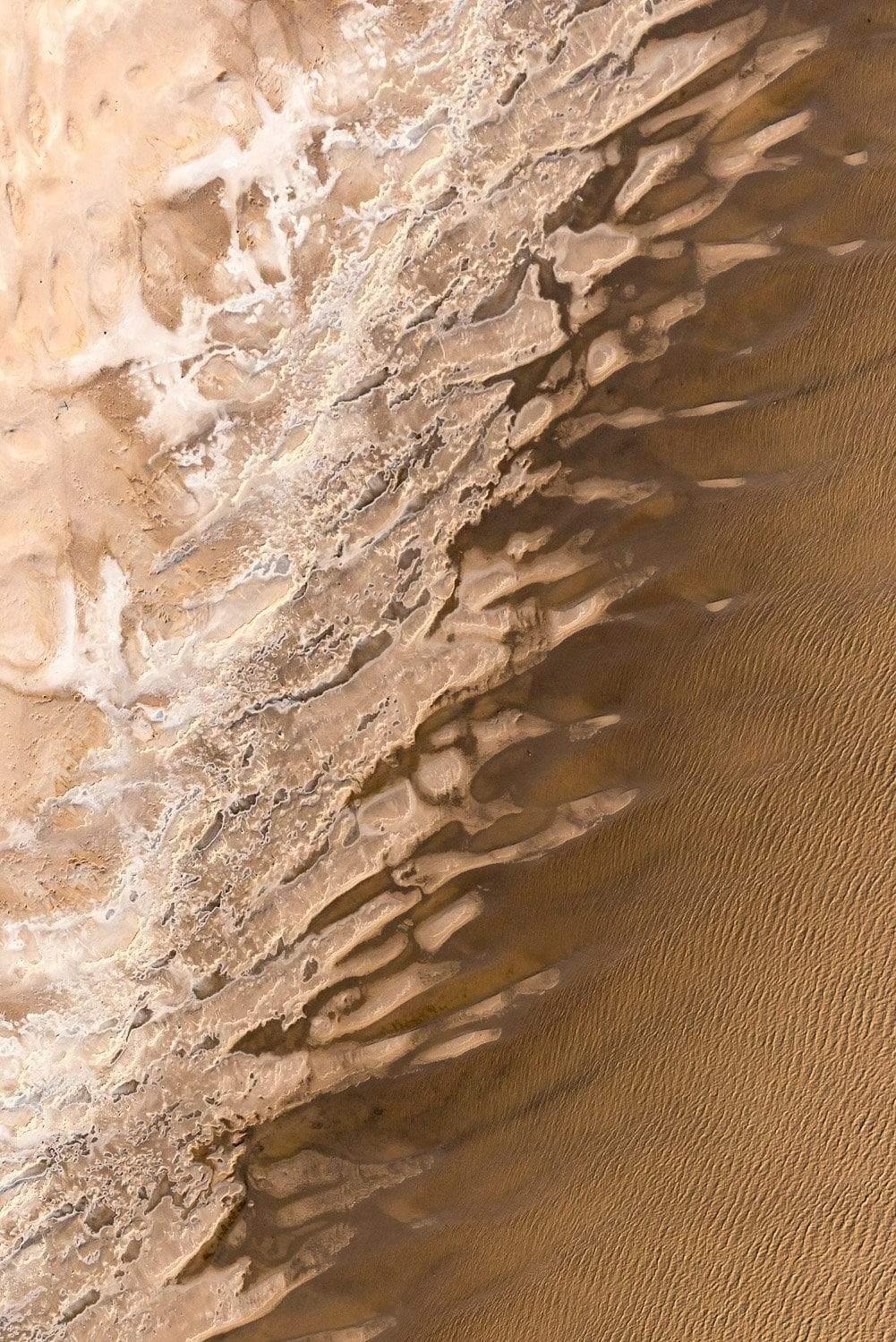 A smoky-colored texture on a sand-color surface depicting a human backbone, Backbone