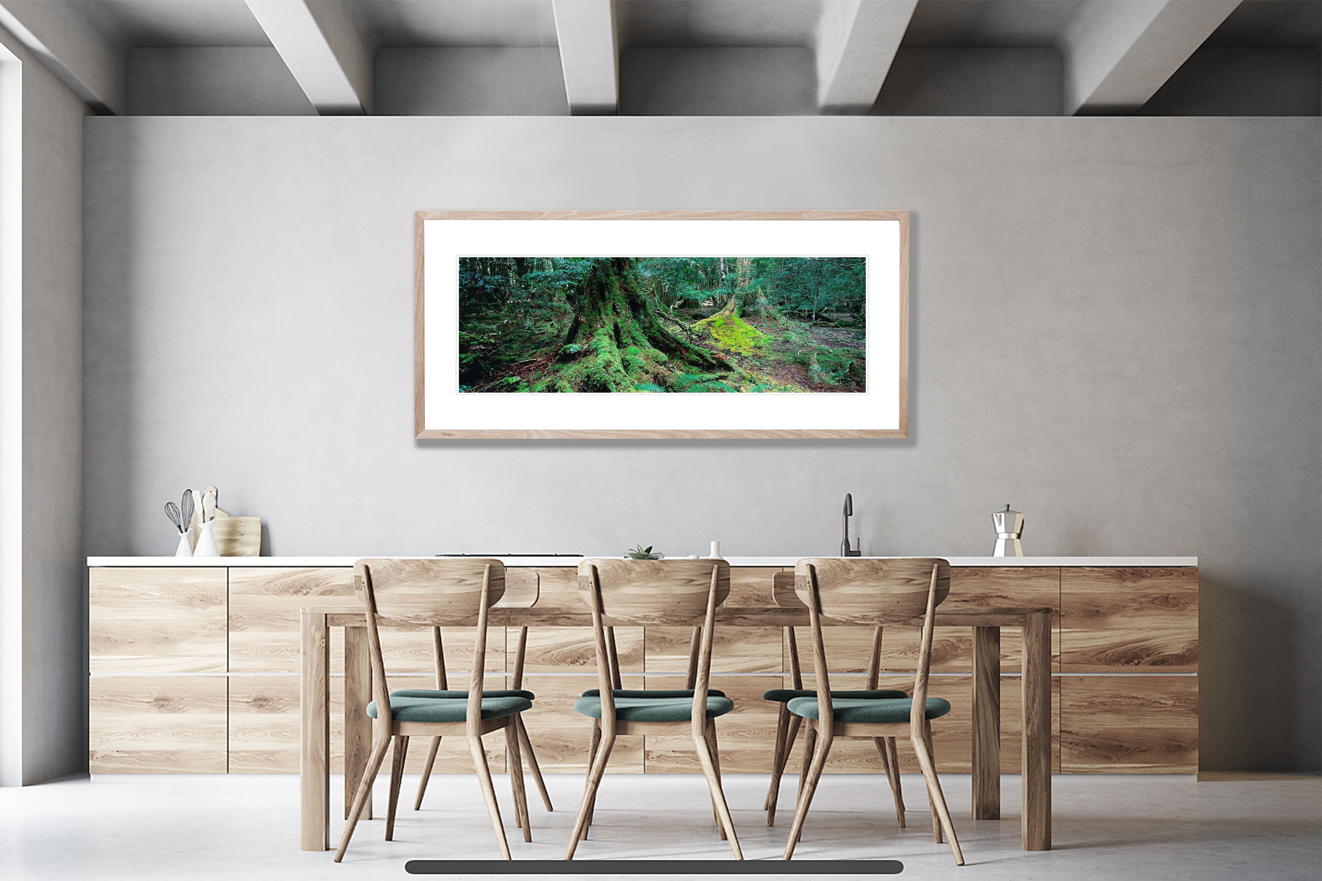 Ballroom Forest - Cradle Mountain TAS